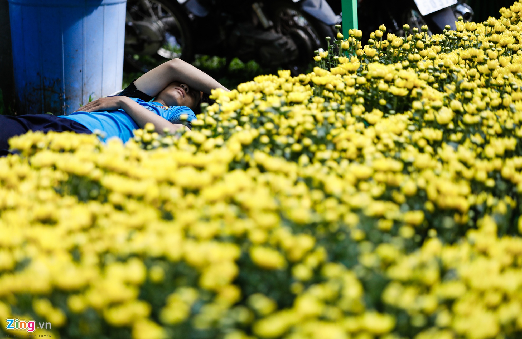 Cho hoa ngay tet nguyen dan anh 11