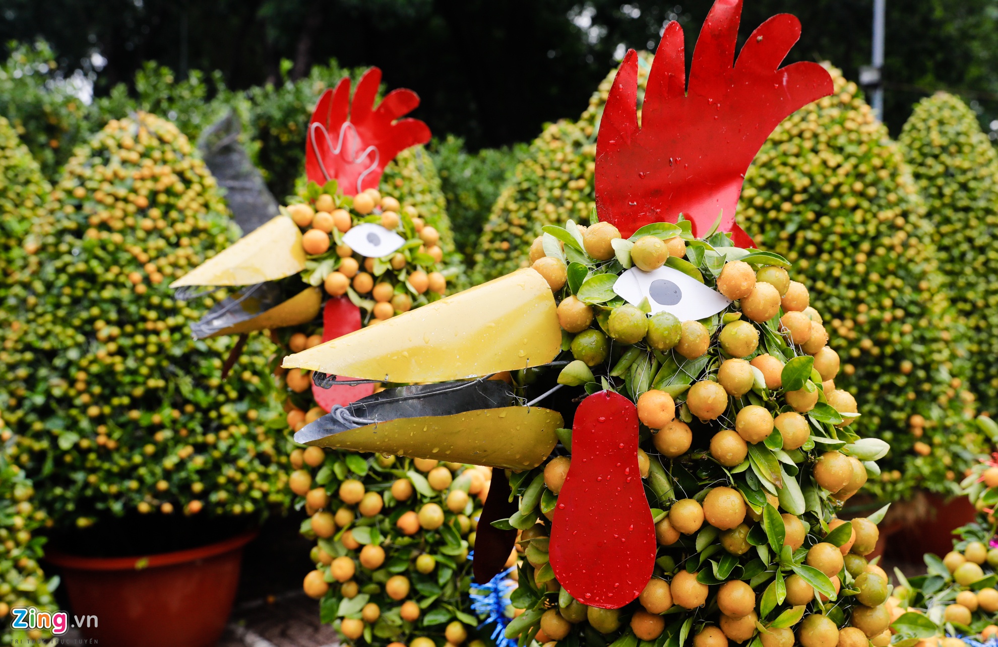 Cho hoa ngay tet nguyen dan anh 14