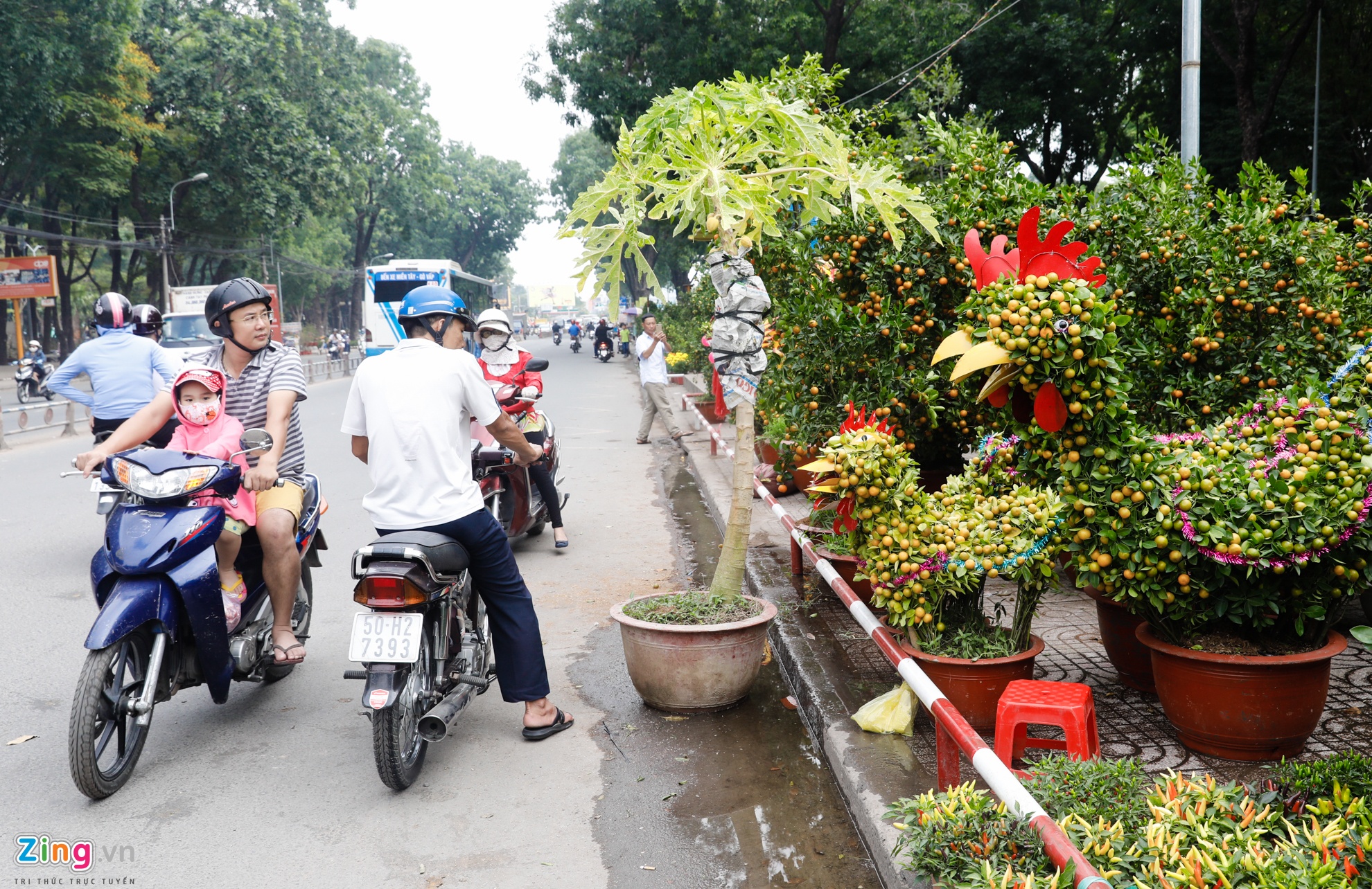 Cho hoa ngay tet nguyen dan anh 12