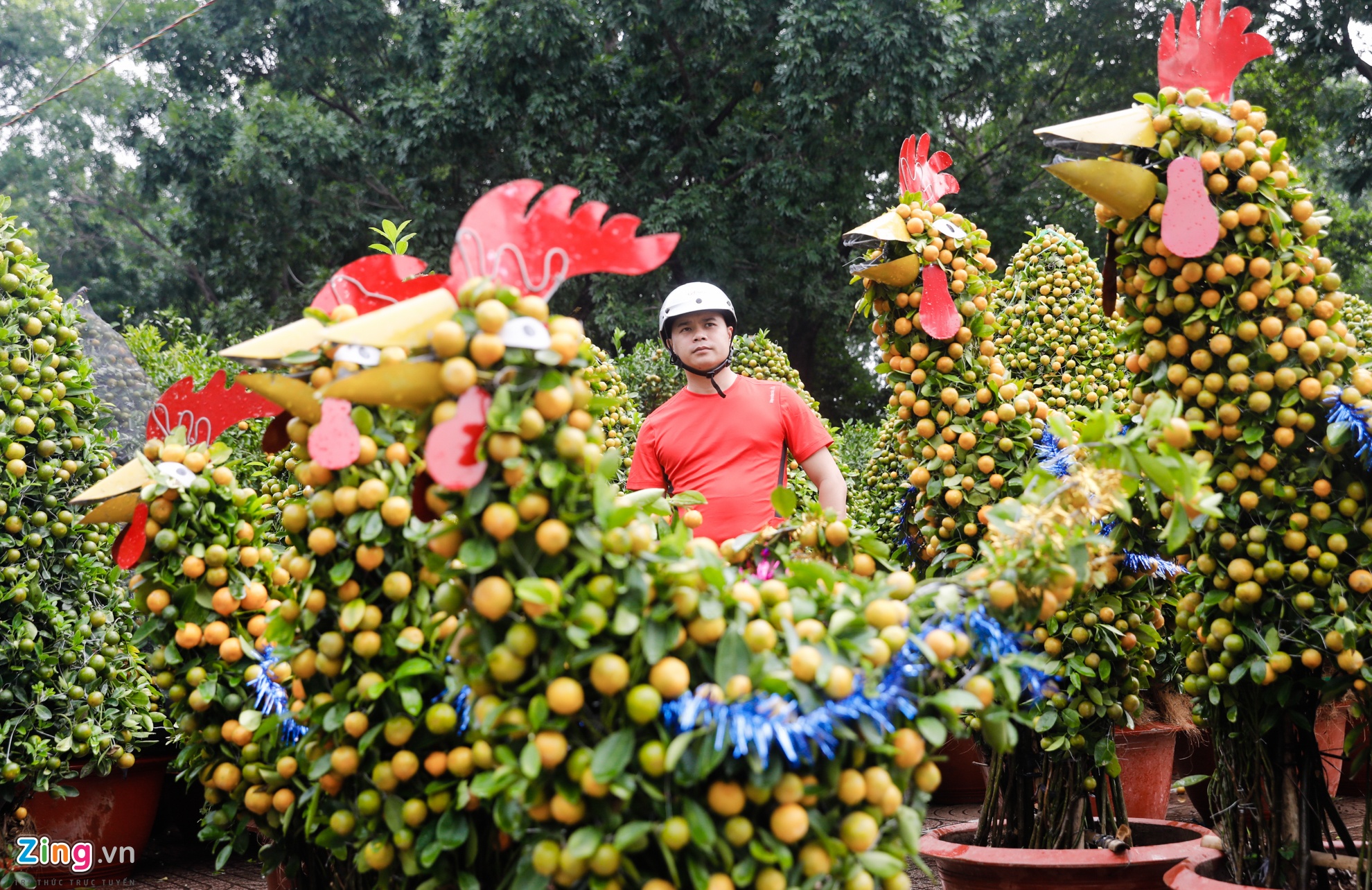 Cho hoa ngay tet nguyen dan anh 13