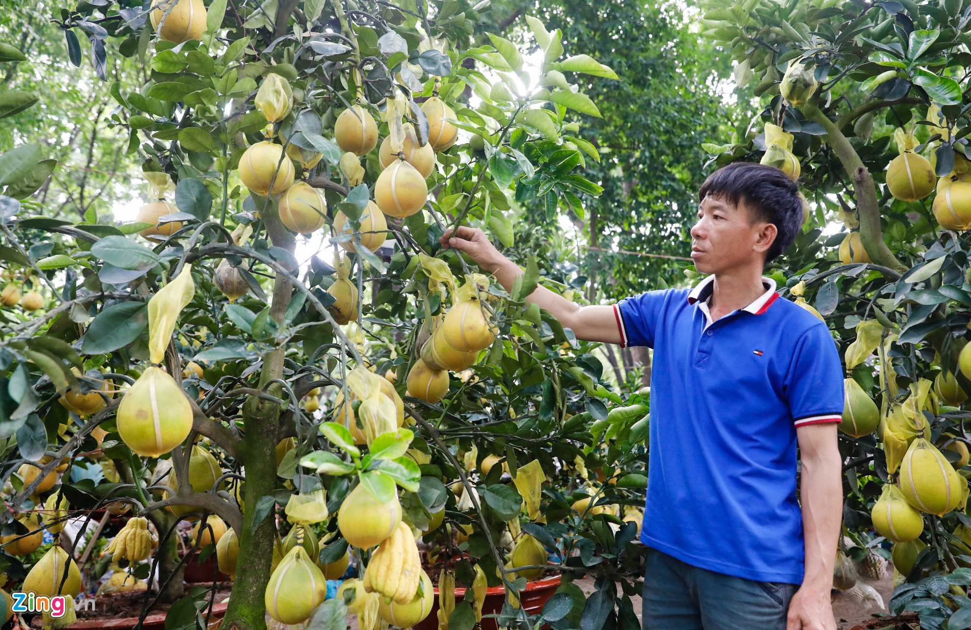 Cho hoa ngay tet nguyen dan anh 16