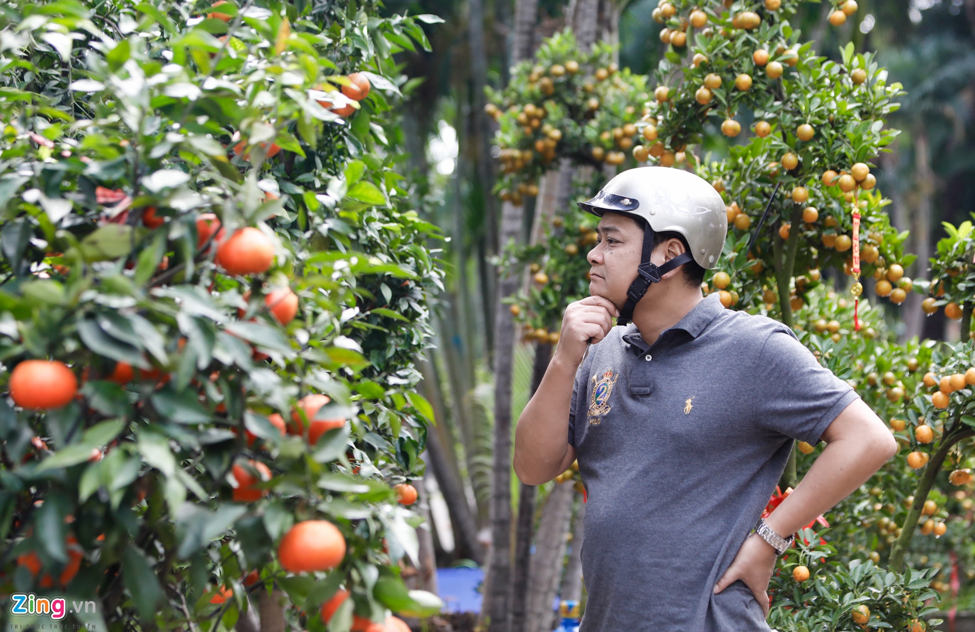 Cho hoa ngay tet nguyen dan anh 15