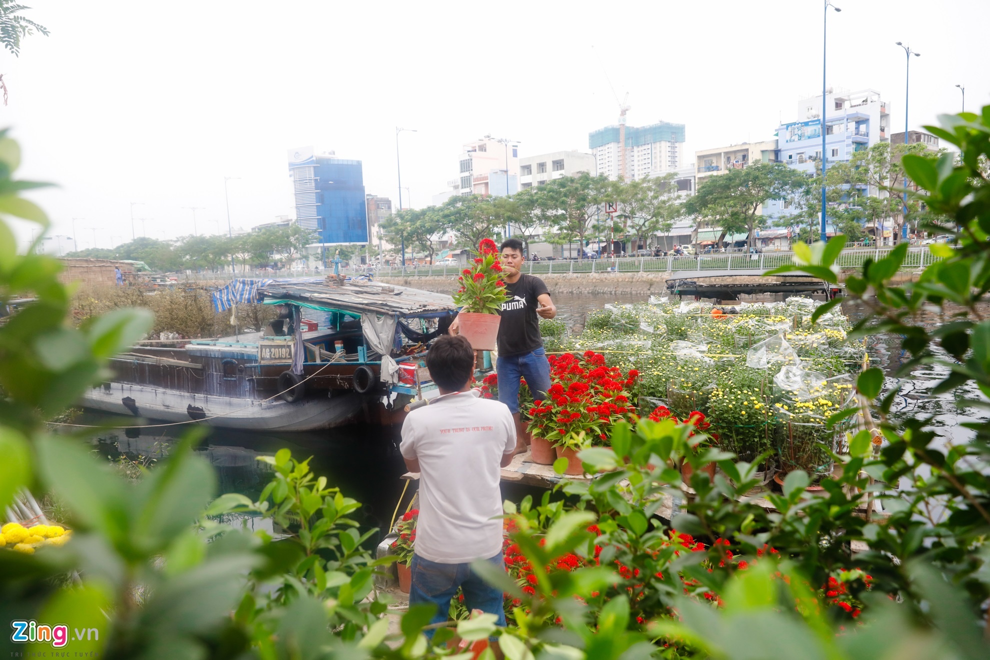 hoa kieng tren ben binh dong anh 7