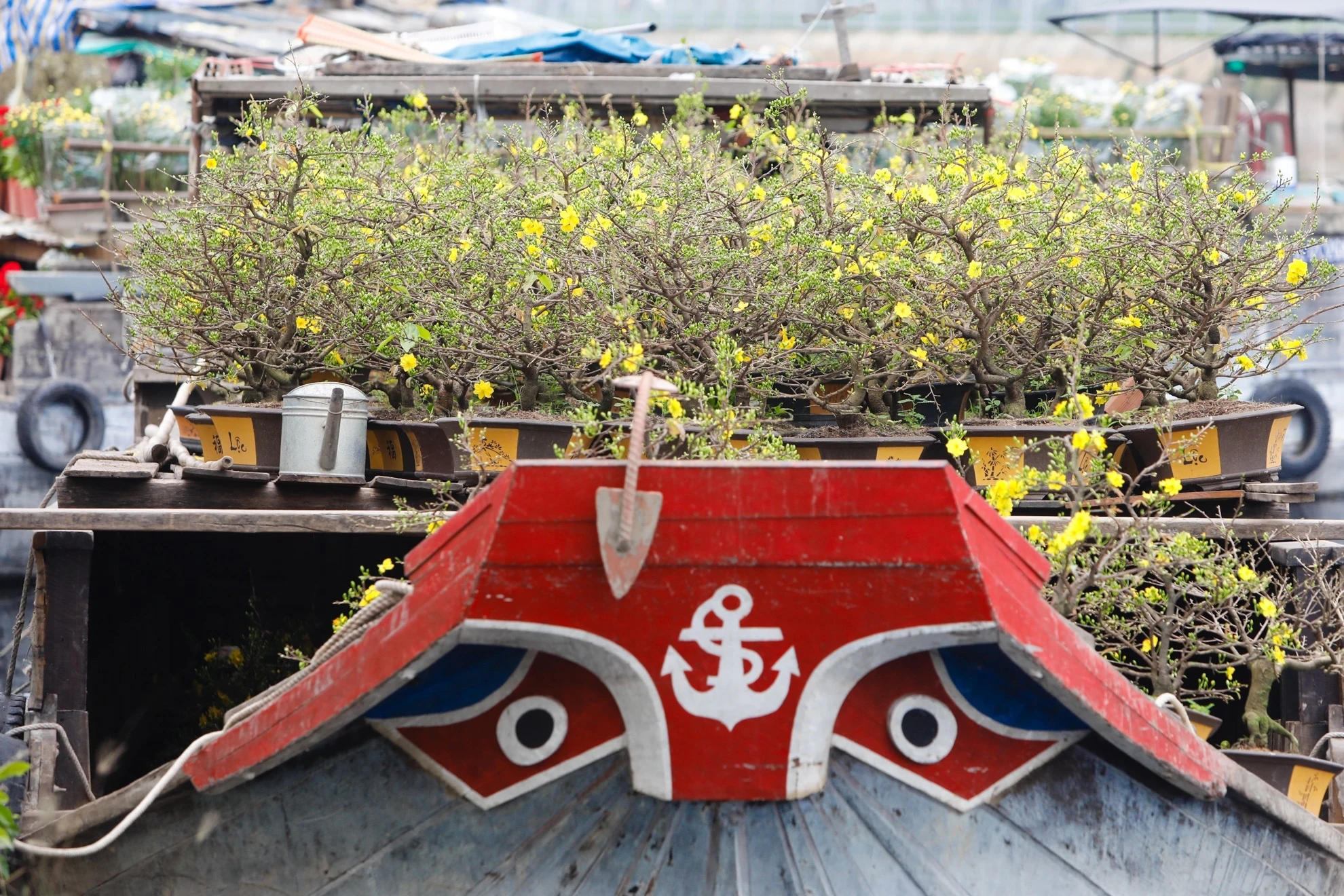 hoa kieng tren ben binh dong anh 6