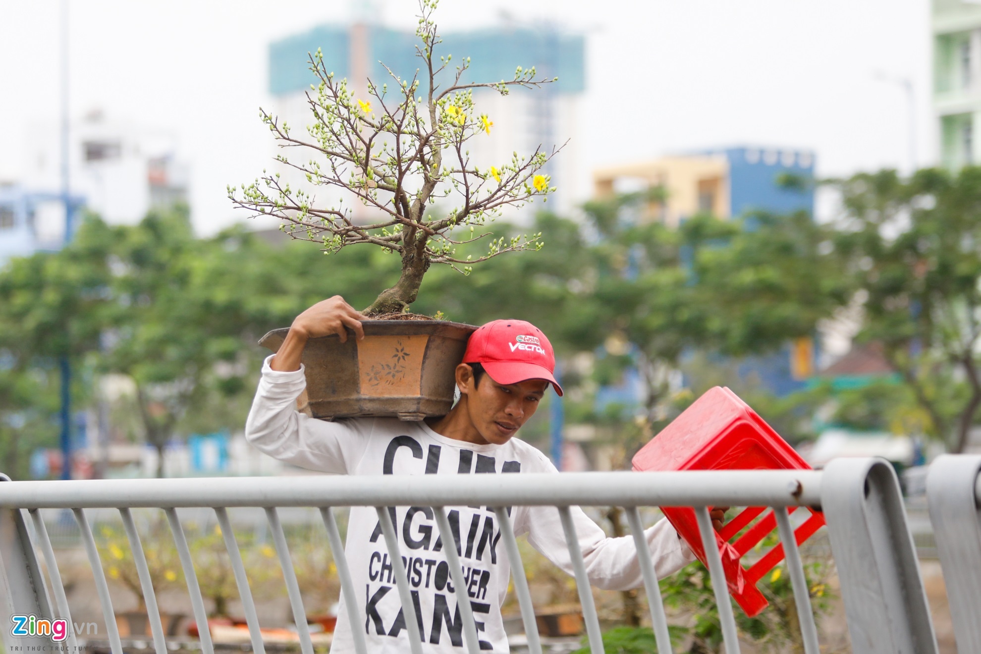 hoa kieng tren ben binh dong anh 9