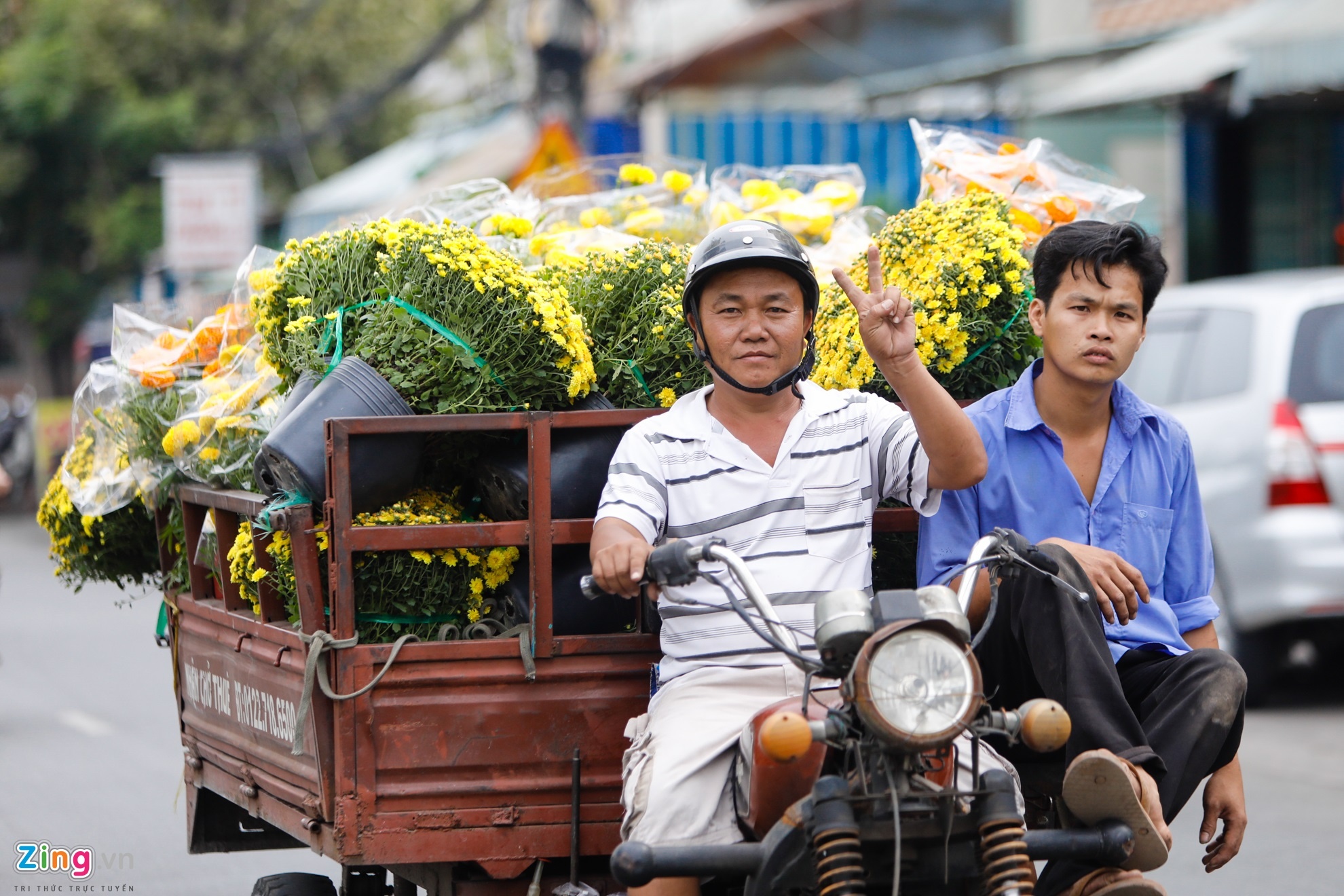 hoa kieng tren ben binh dong anh 17
