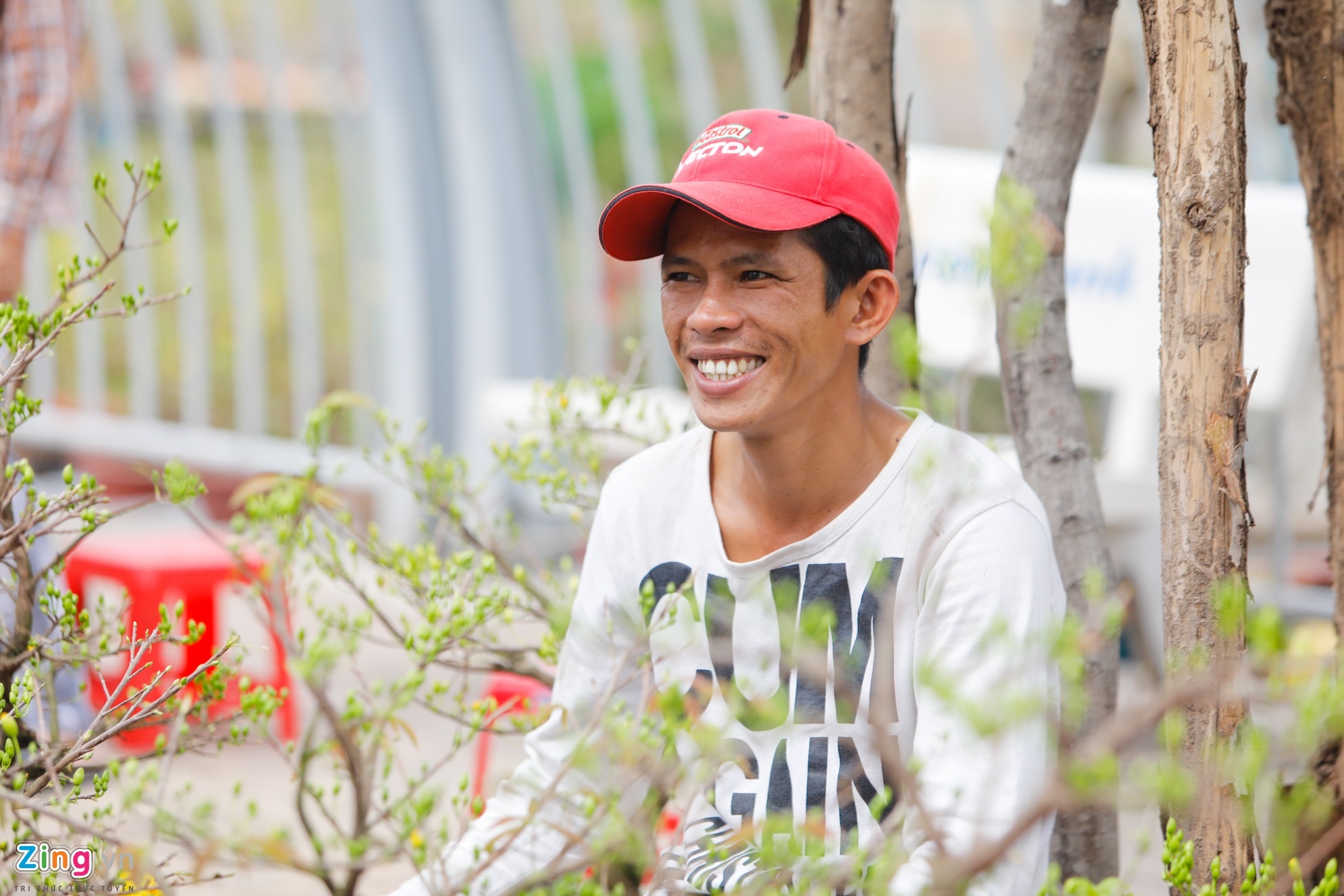 hoa kieng tren ben binh dong anh 14