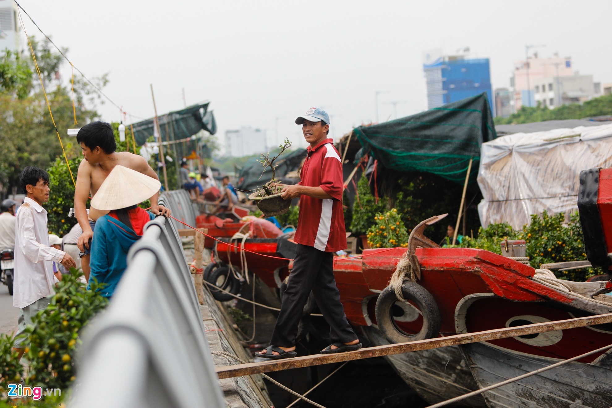 hoa kieng tren ben binh dong anh 8