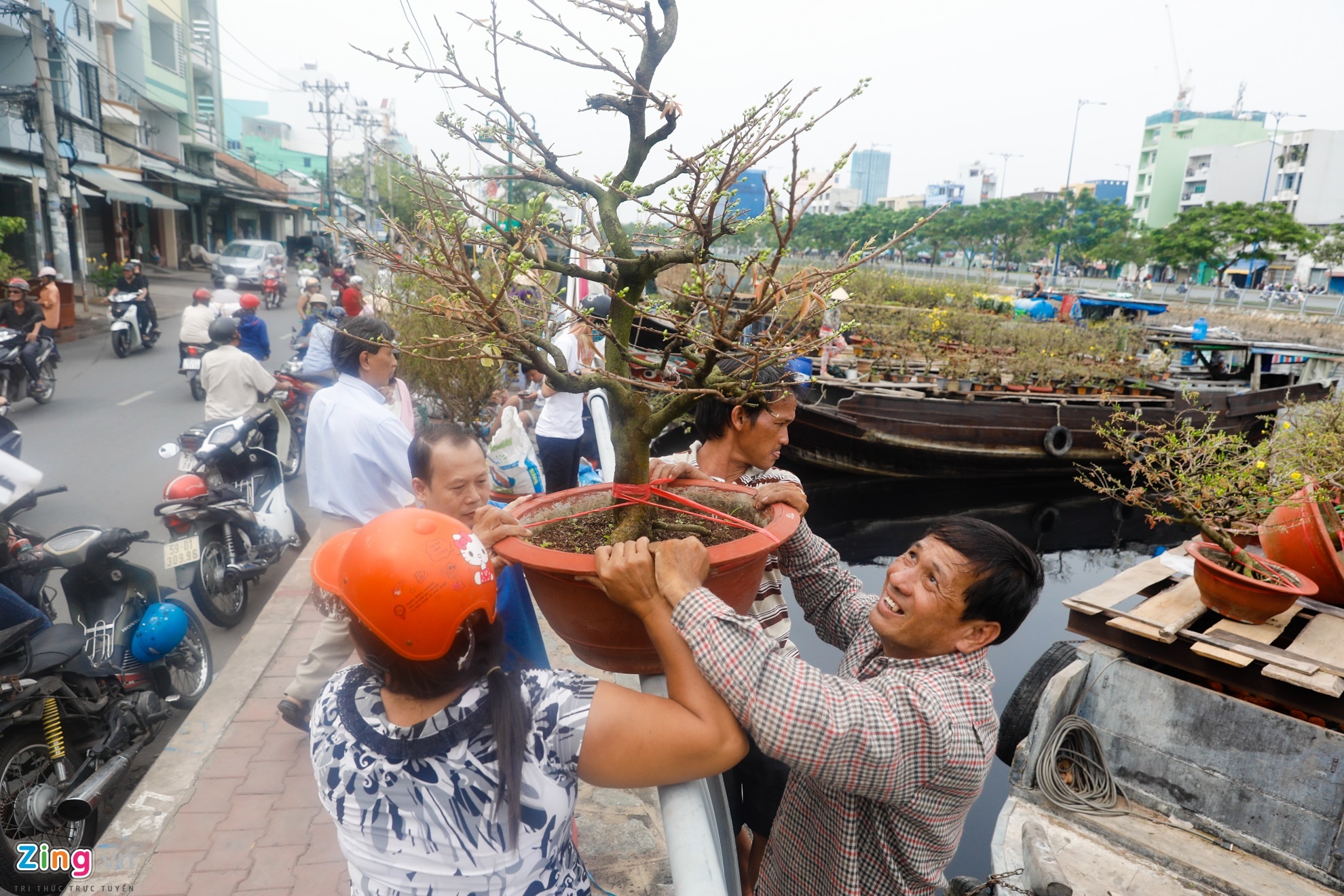 hoa kieng tren ben binh dong anh 10