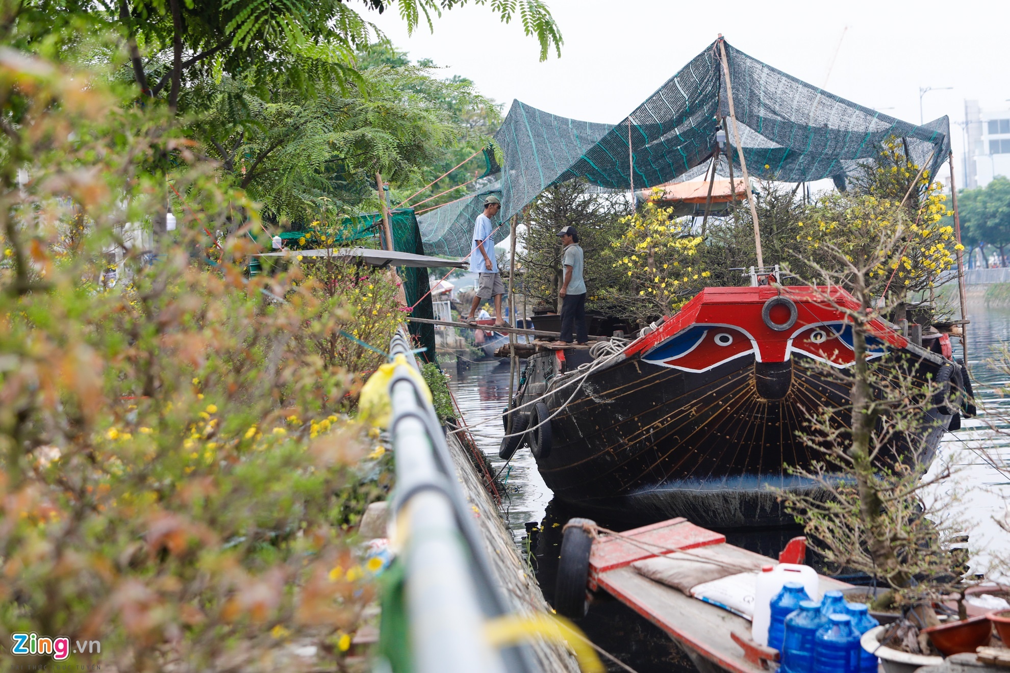 hoa kieng tren ben binh dong anh 4