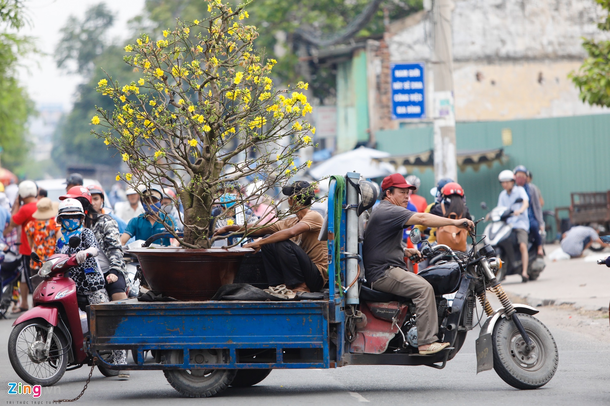 hoa kieng tren ben binh dong anh 16