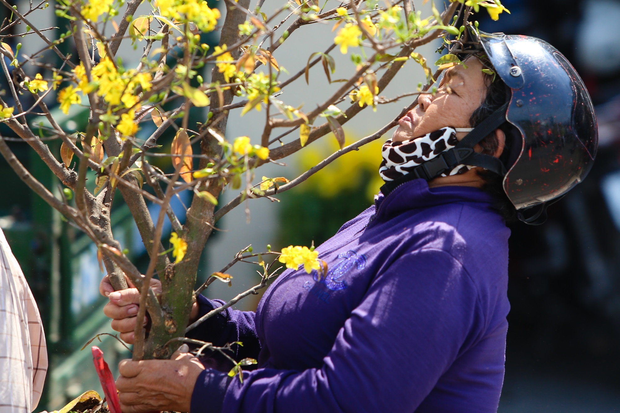 Nguoi dan khoc rong vi hoa no som anh 9
