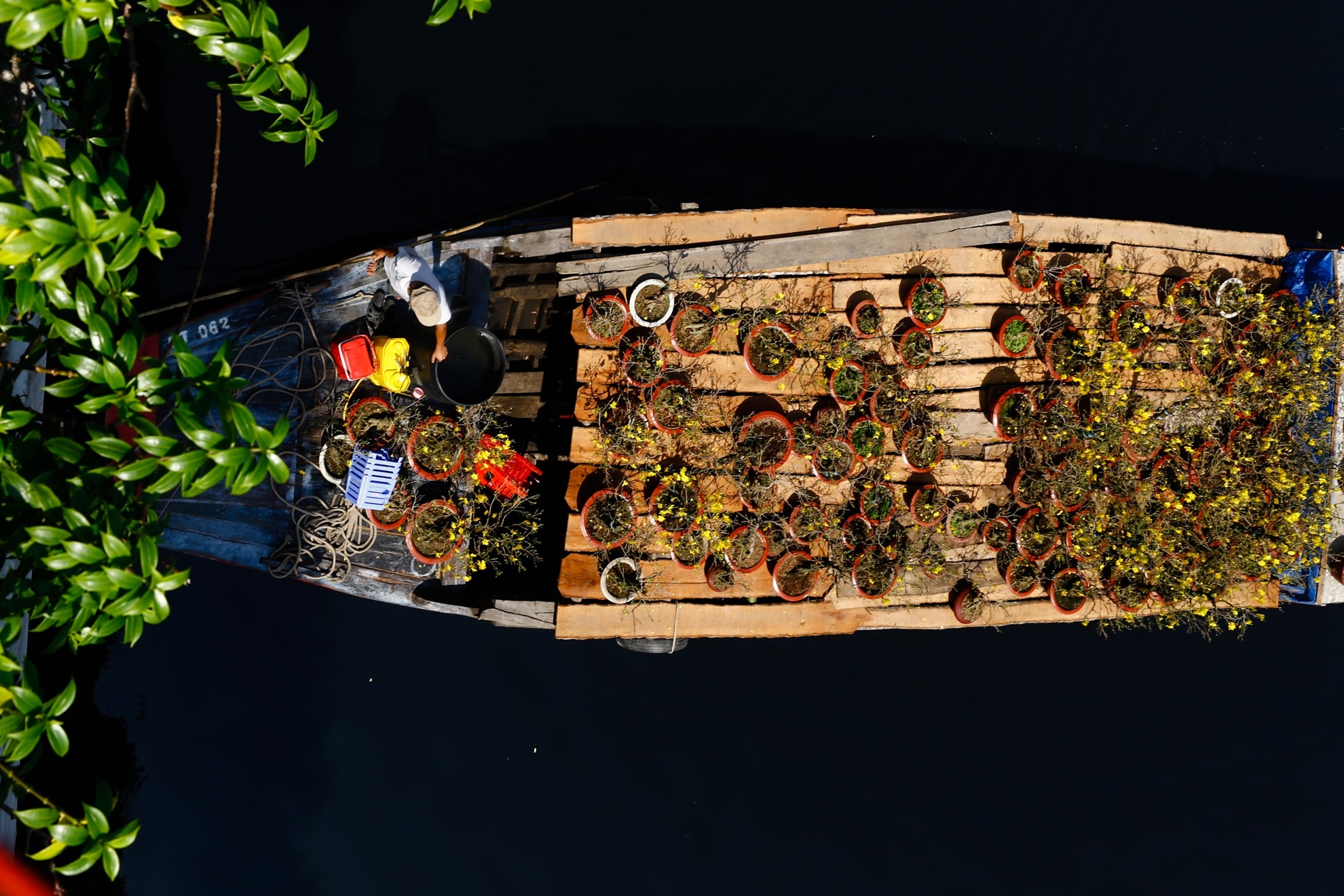 Ban thao mai, nha vuon mien Tay dong thuyen ve que som hinh anh