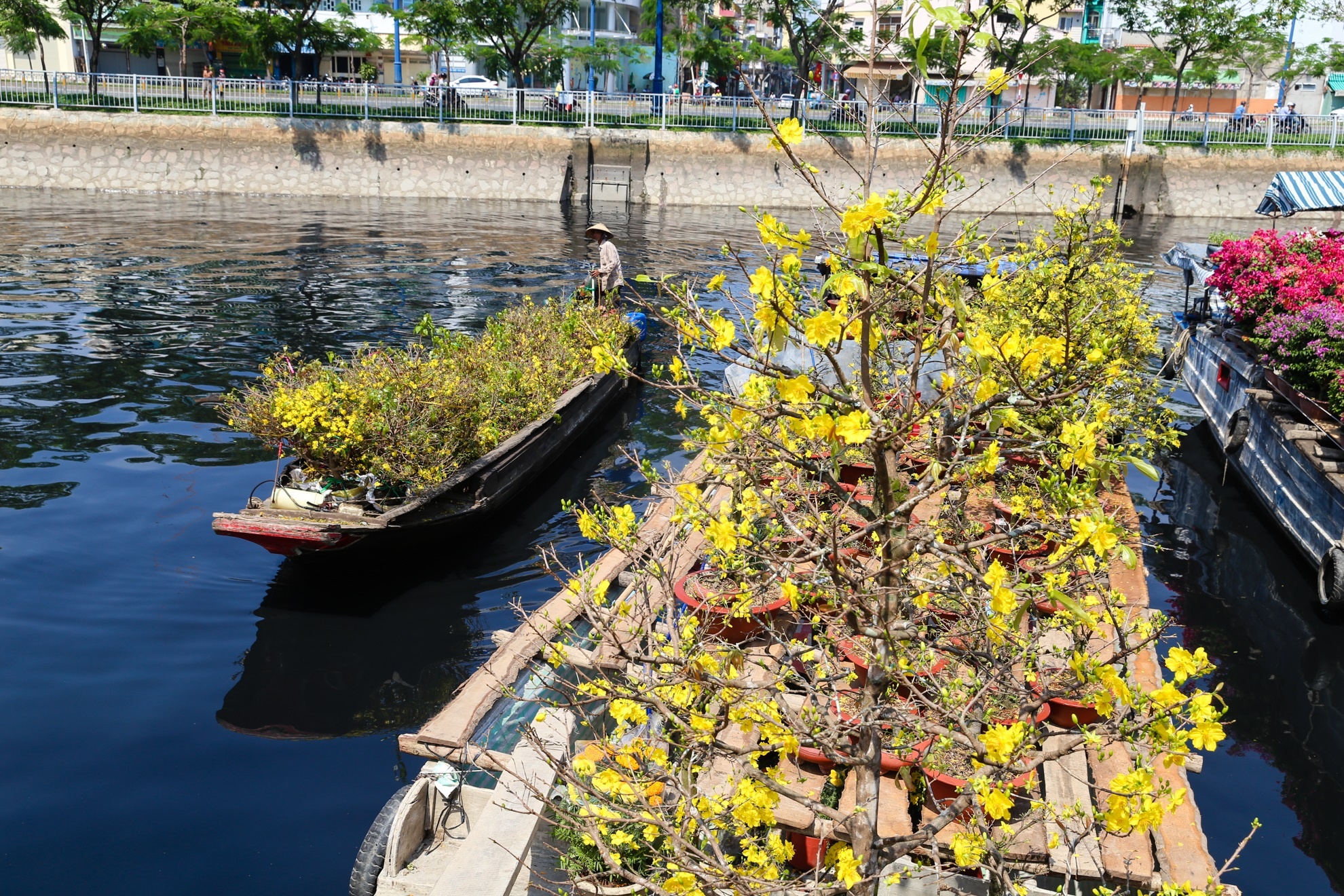 Nguoi dan khoc rong vi hoa no som anh 15