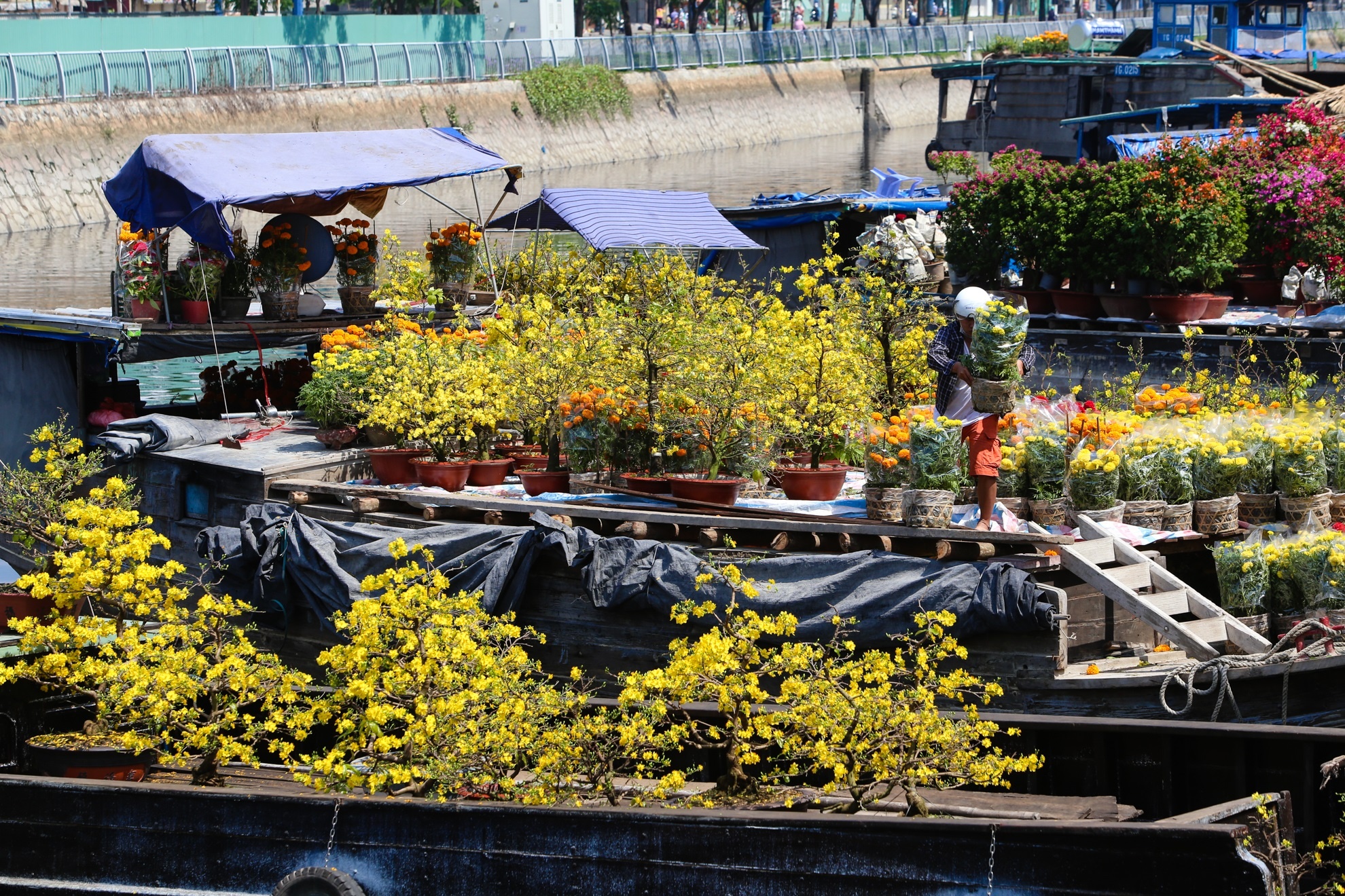 Nguoi dan khoc rong vi hoa no som anh 2