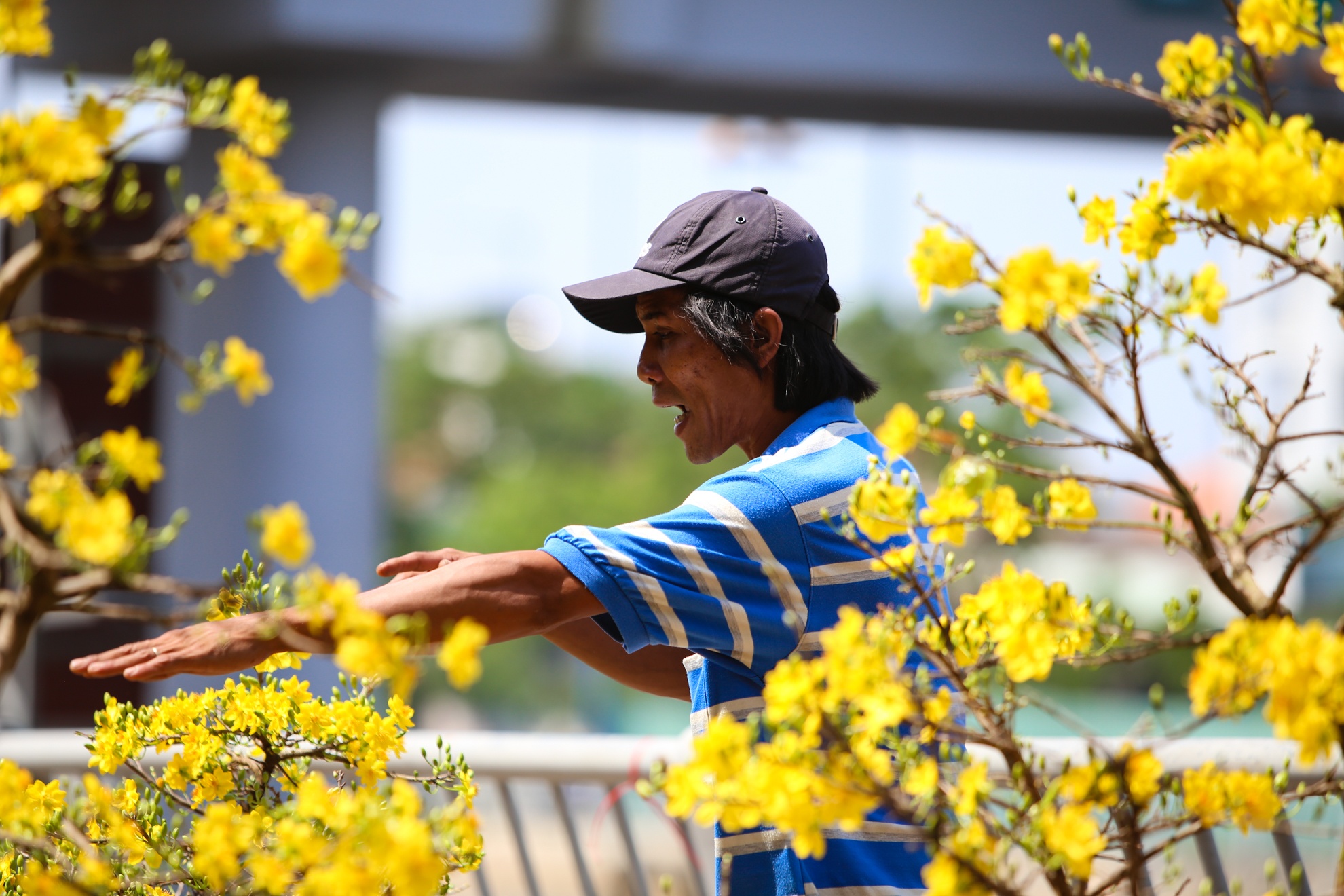 Nguoi dan khoc rong vi hoa no som anh 4