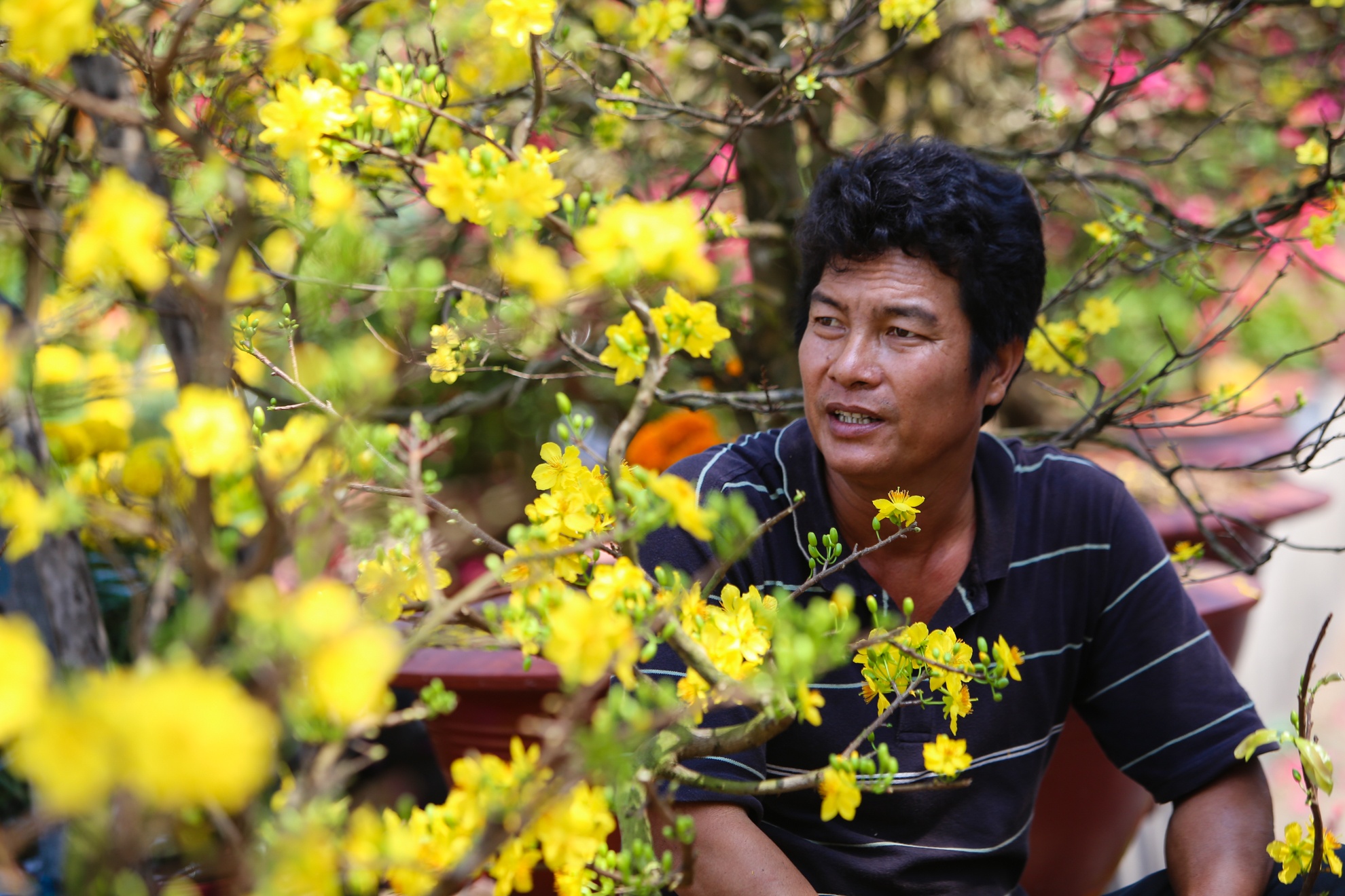 Nguoi dan khoc rong vi hoa no som anh 5