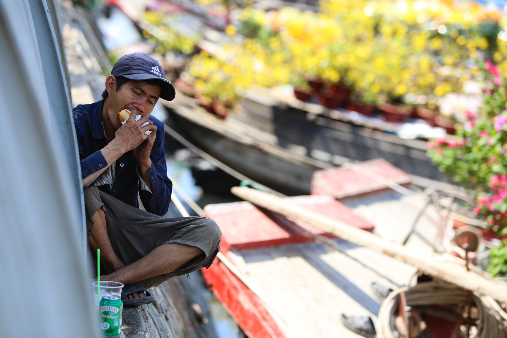 Nguoi dan khoc rong vi hoa no som anh 7