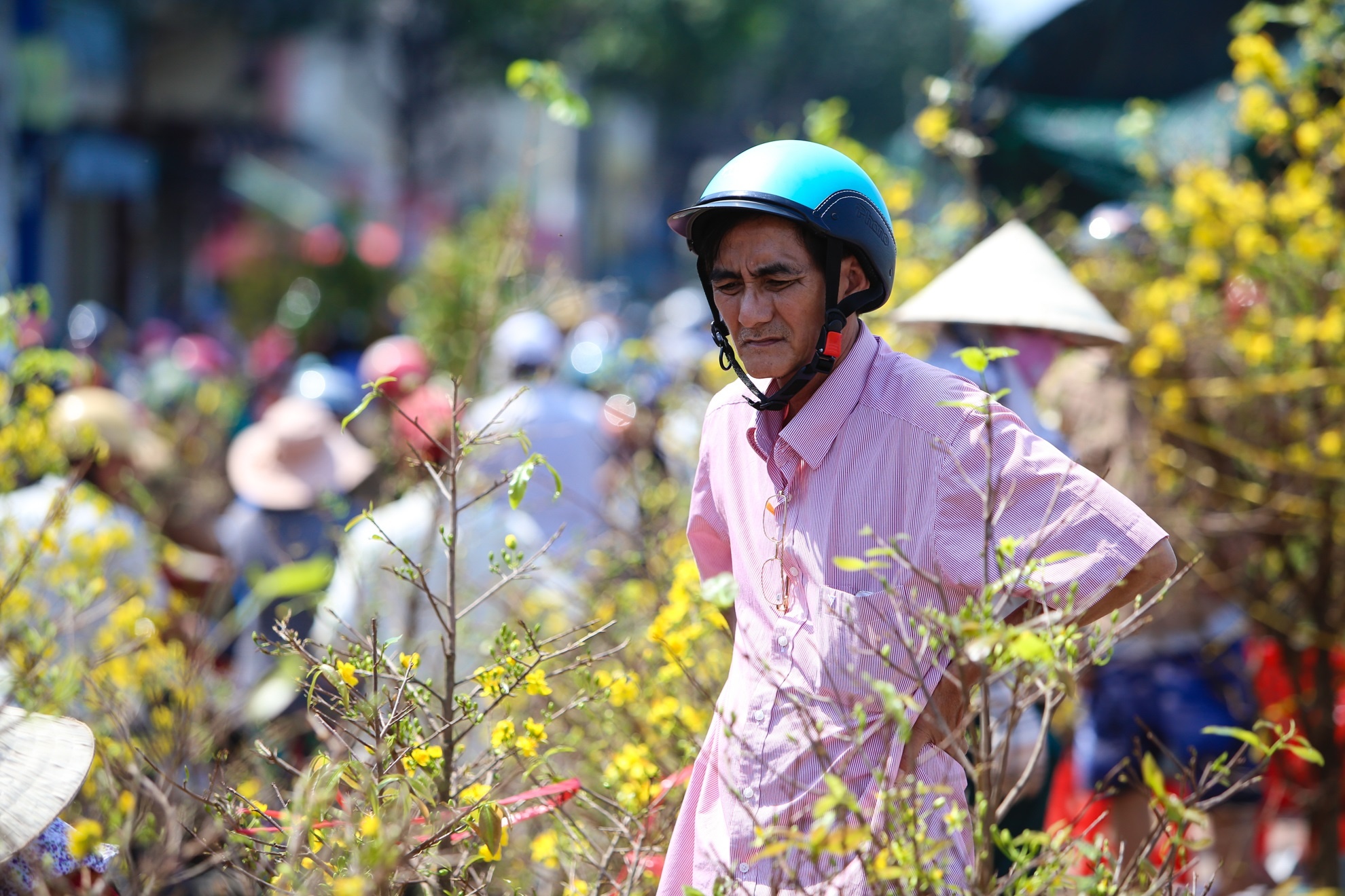 Nguoi dan khoc rong vi hoa no som anh 8