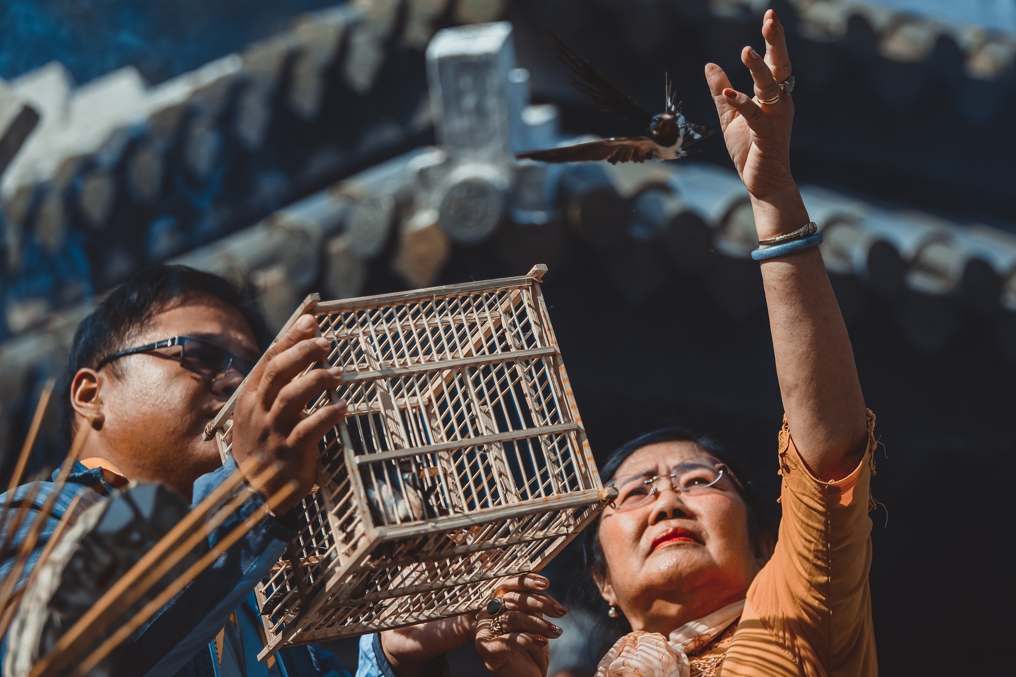 Mung mot tet Dinh Dau 2017 anh 11