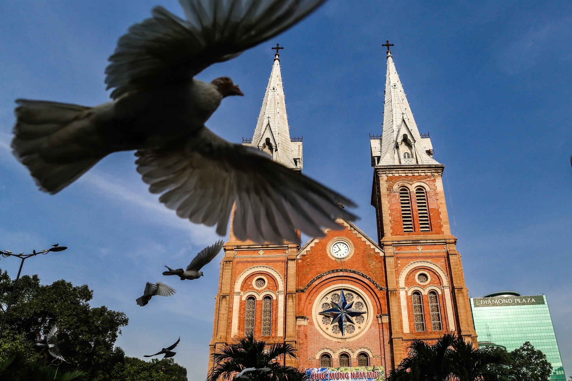 Mung mot tet Dinh Dau 2017 anh 4