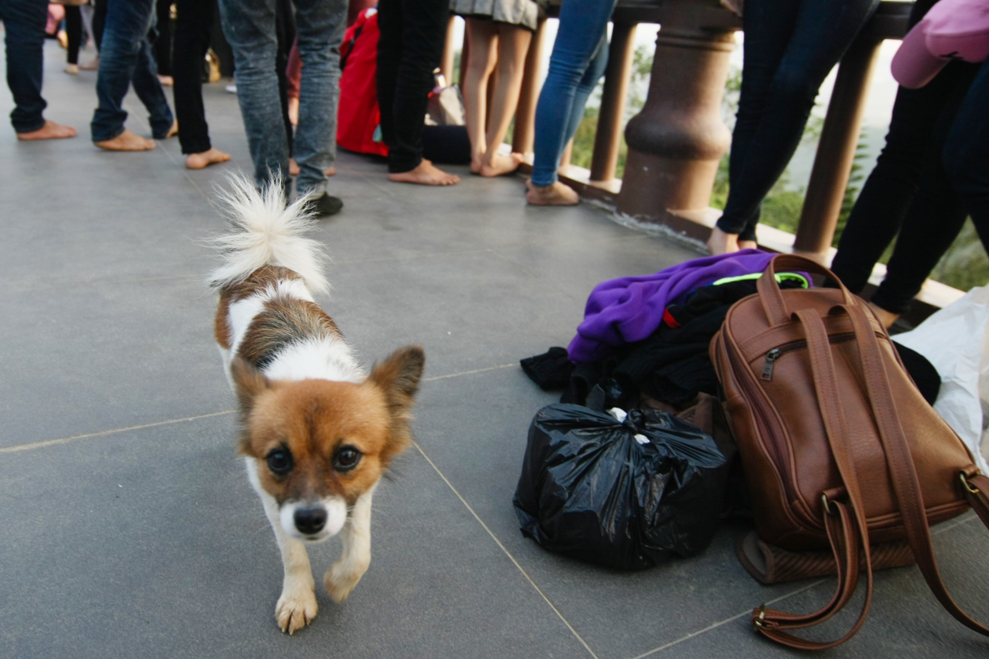 Vo y thuc o Linh Quy Phap An anh 7