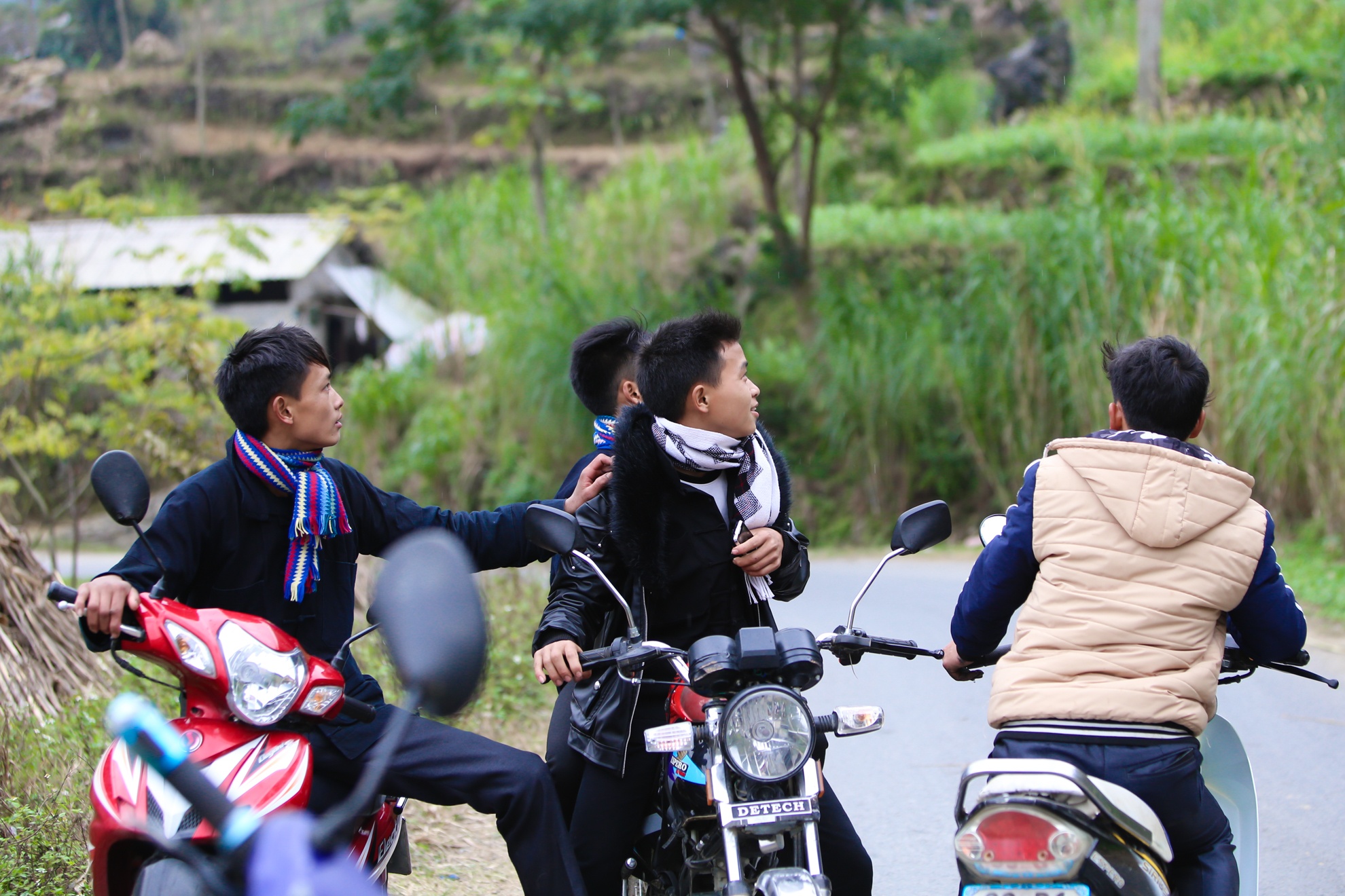 Tuc bat vo cua nguoi Mong Ha Giang anh 14