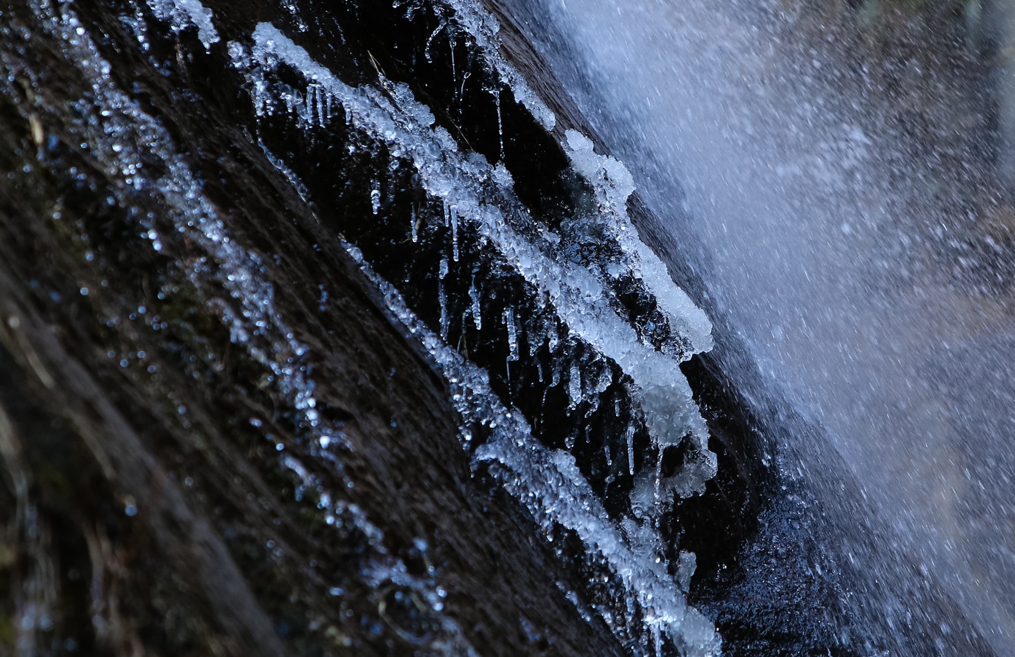 chinh phuc Tiger Nest Bhutan anh 14