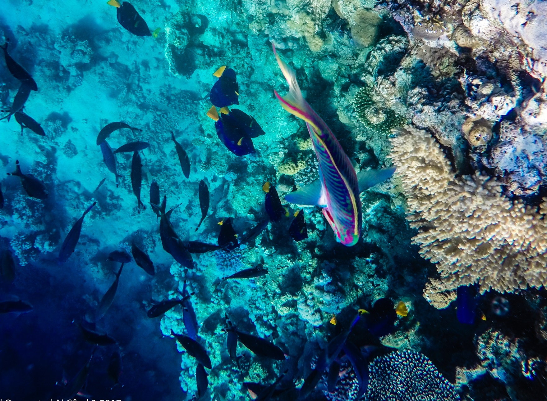 15 diem den thu vi o Ai Cap anh 17