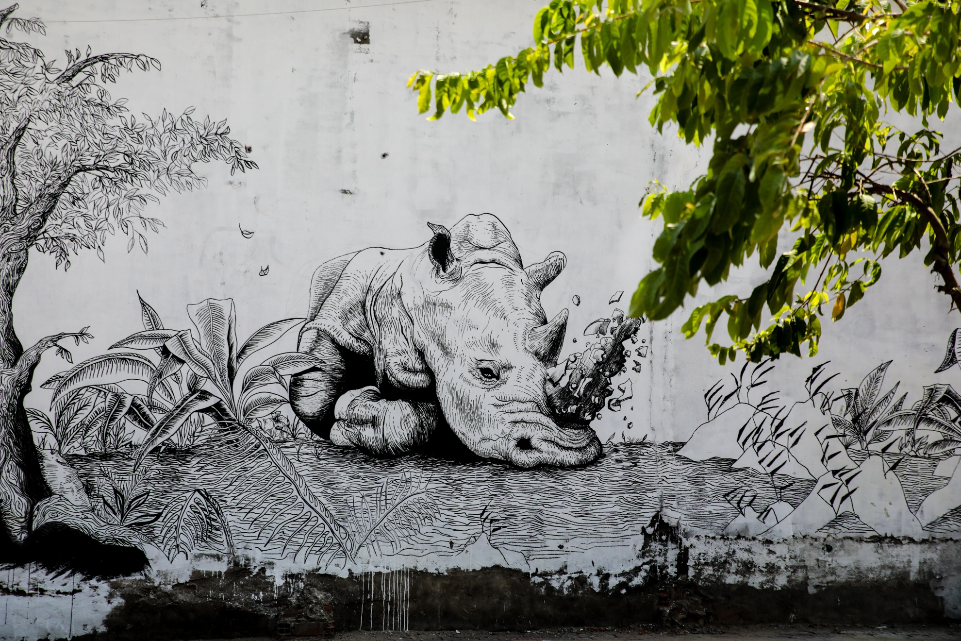 bao ve te giac anh 16