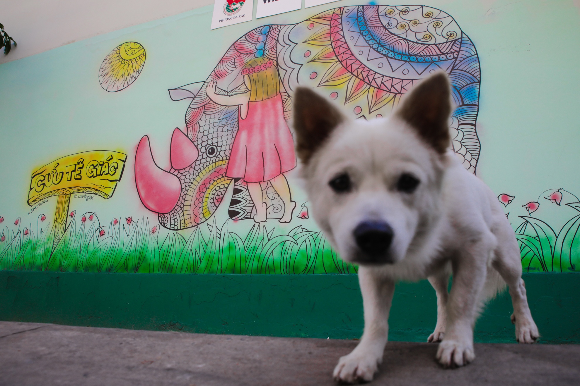 bao ve te giac anh 5