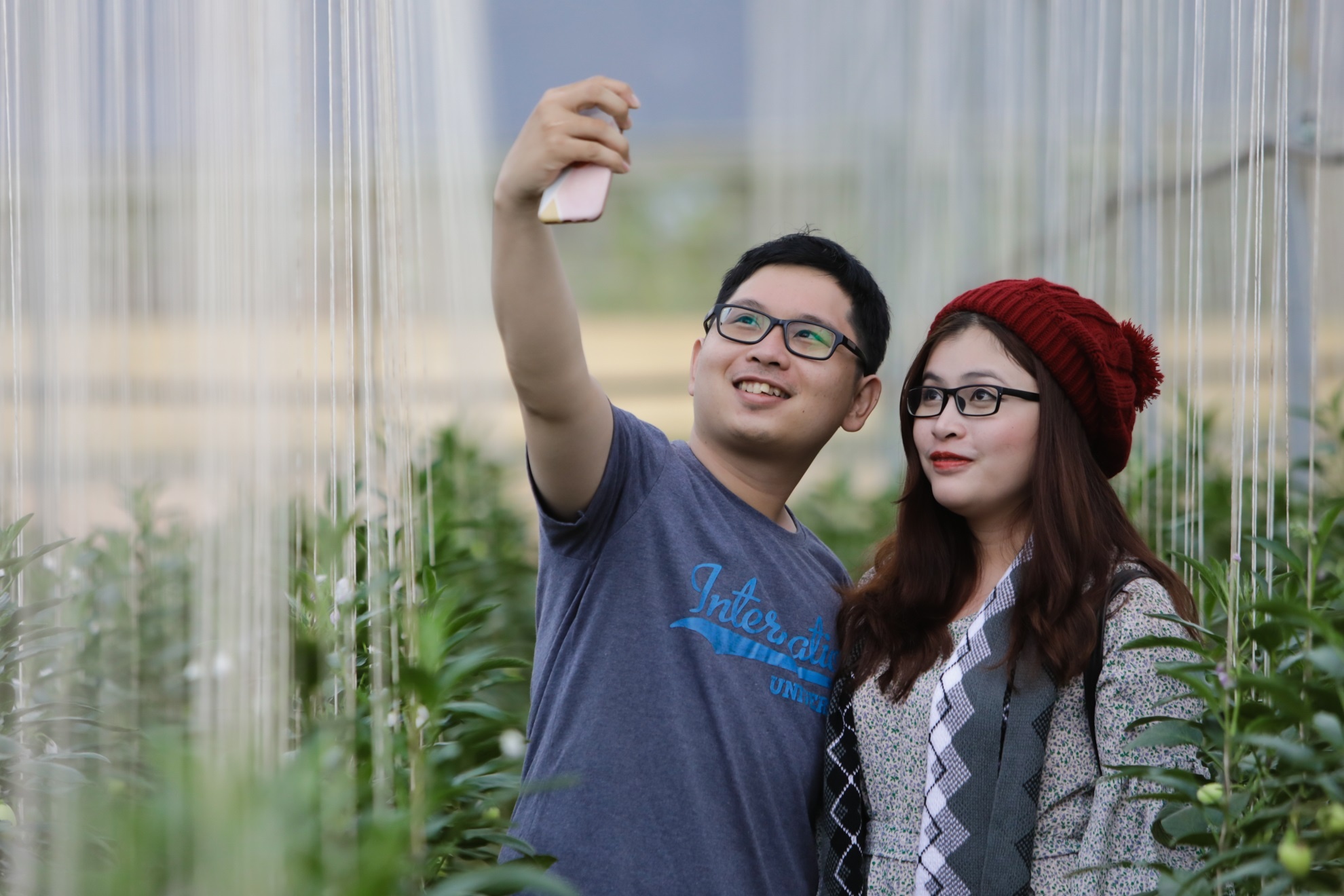 Dua hau mini Da lat anh 11