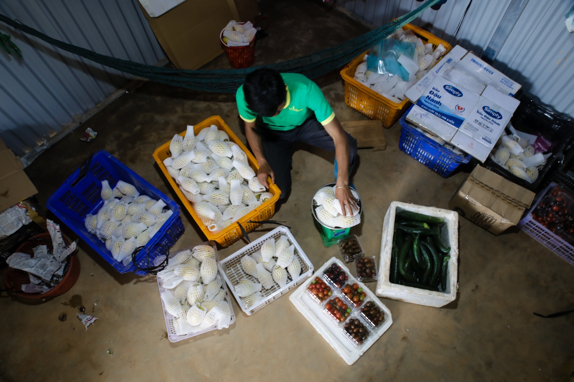 Dua hau mini Da lat anh 13