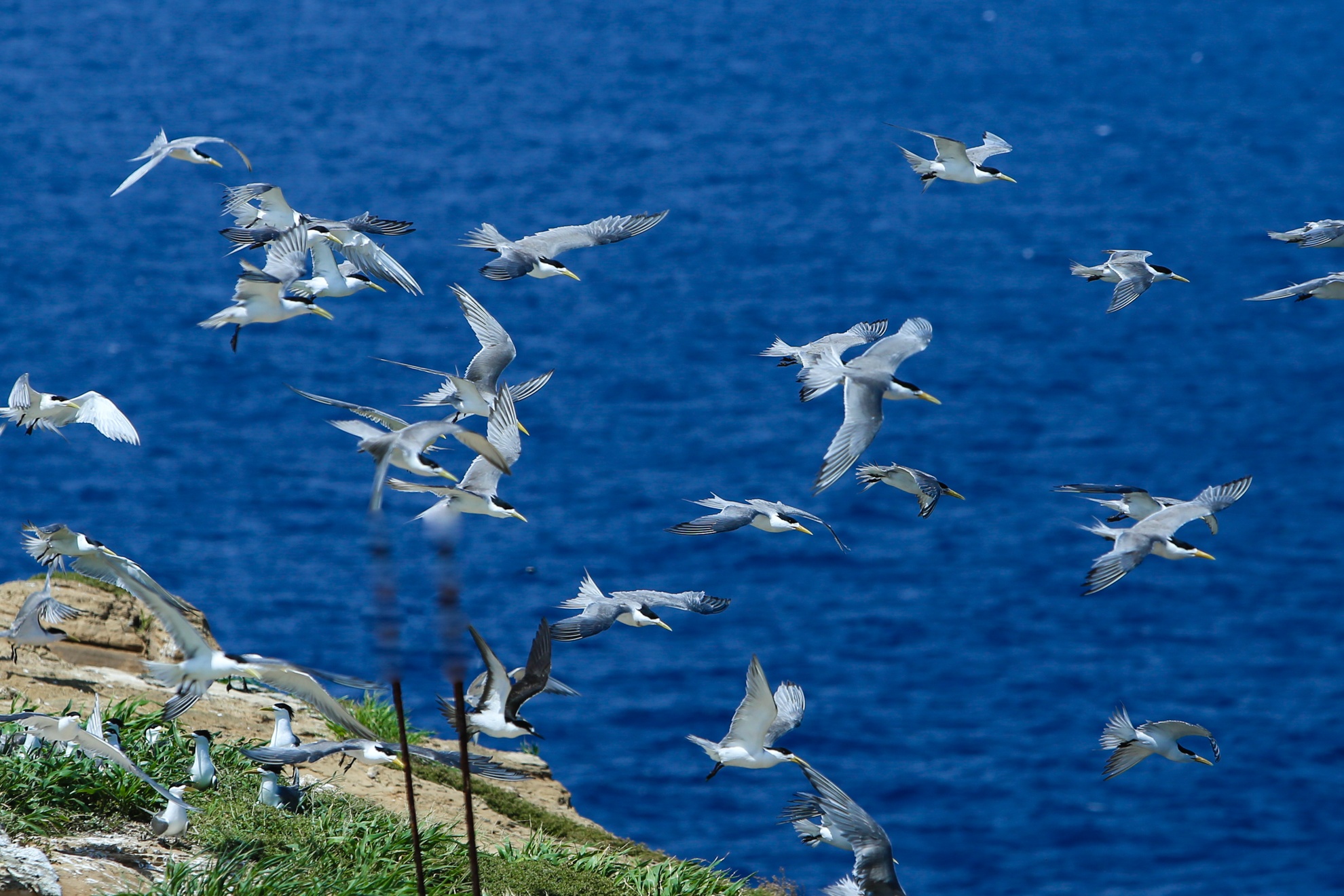 Hon Hai khoi da khong lo giua bien dong anh 11