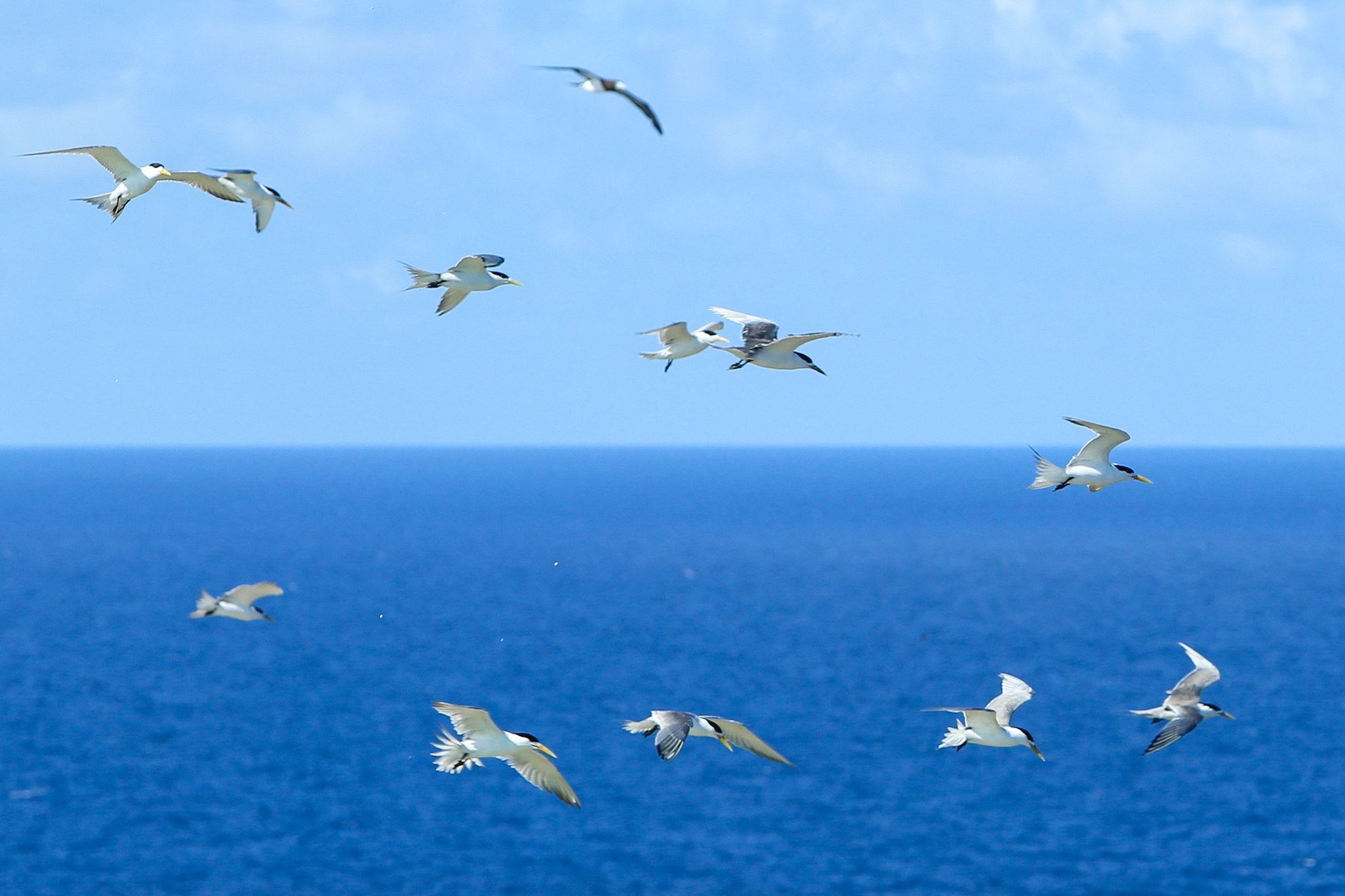 Hon Hai khoi da khong lo giua bien dong anh 12