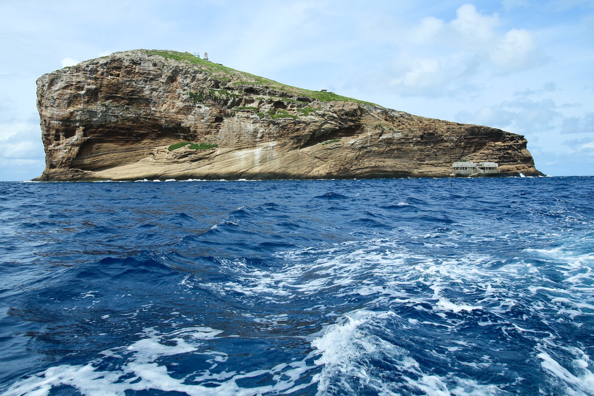 Hon Hai khoi da khong lo giua bien dong anh 5
