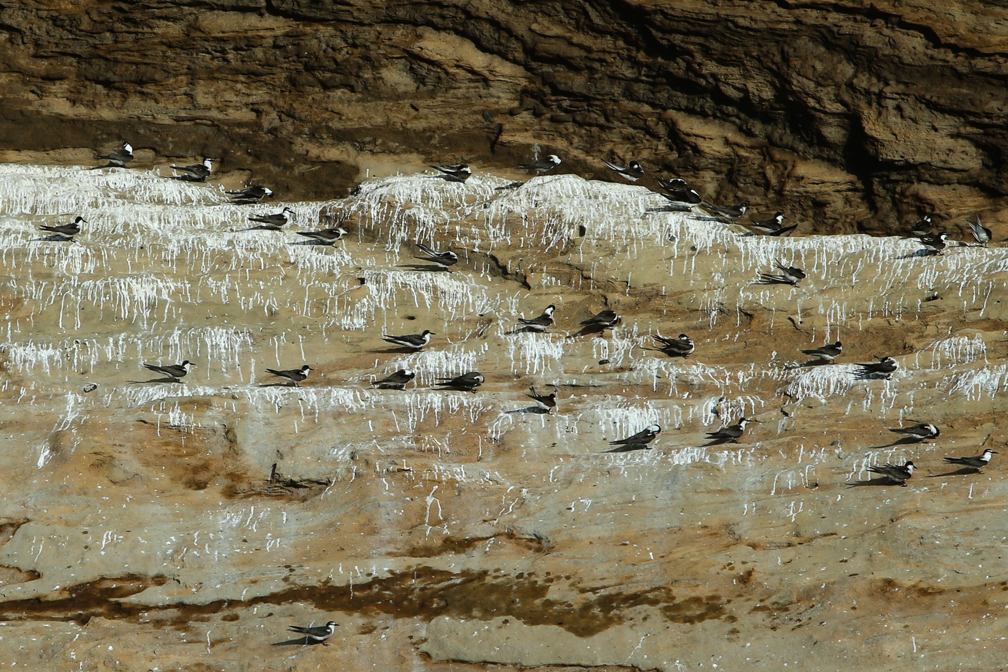 Hon Hai khoi da khong lo giua bien dong anh 7