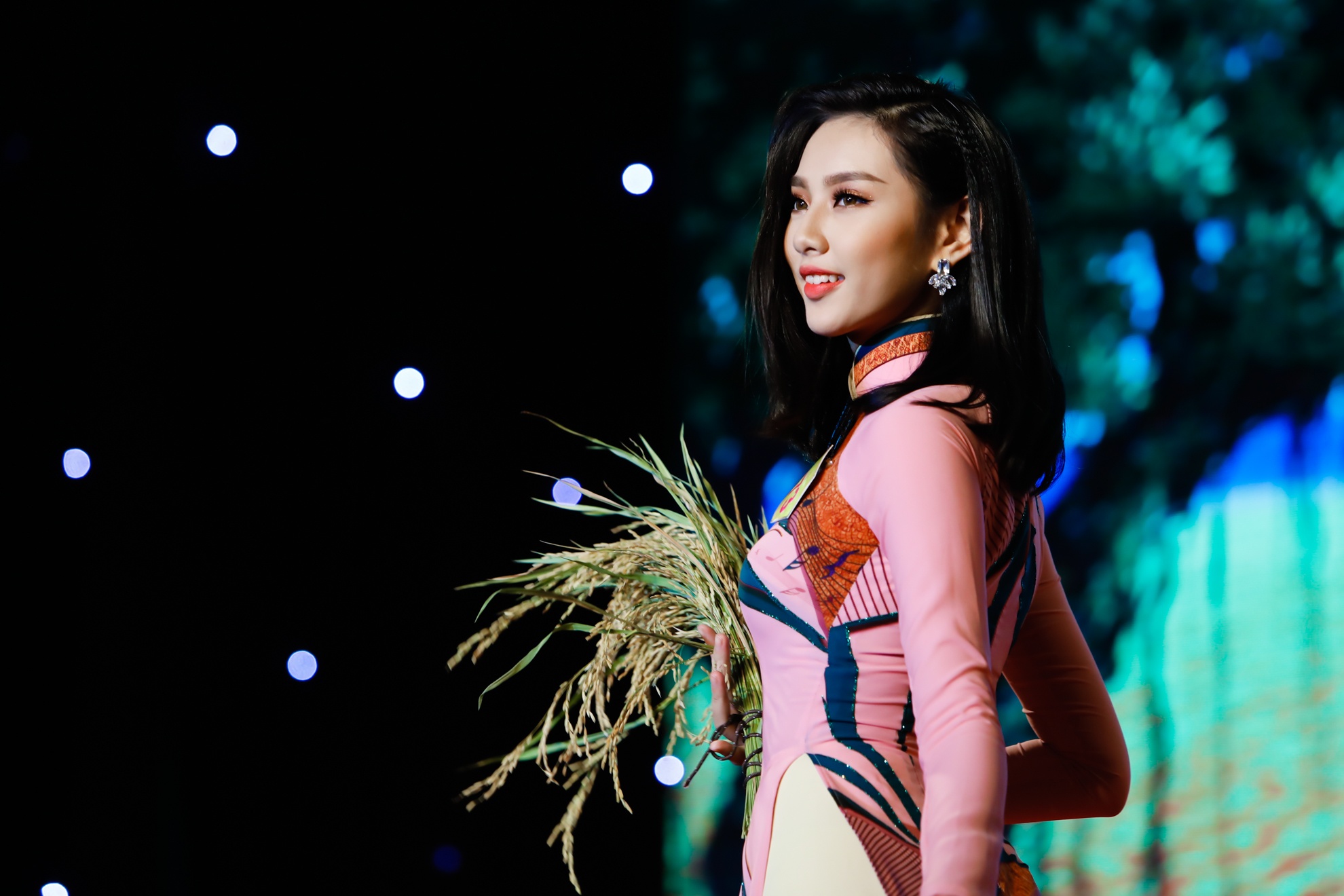 Chung ket hoa khoi Nam Bo 2017 anh 6