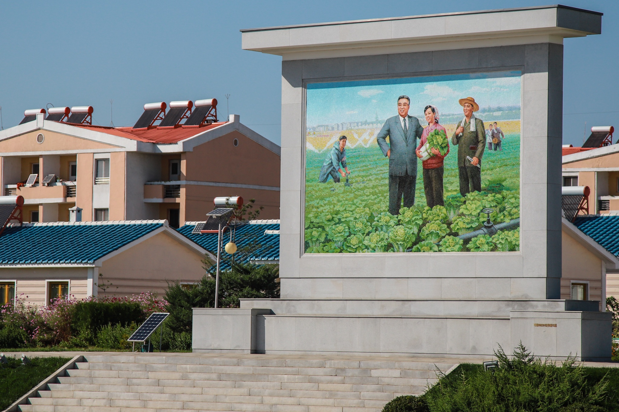 Nong trai kieu mau vang bong nong dan cua Trieu Tien hinh anh