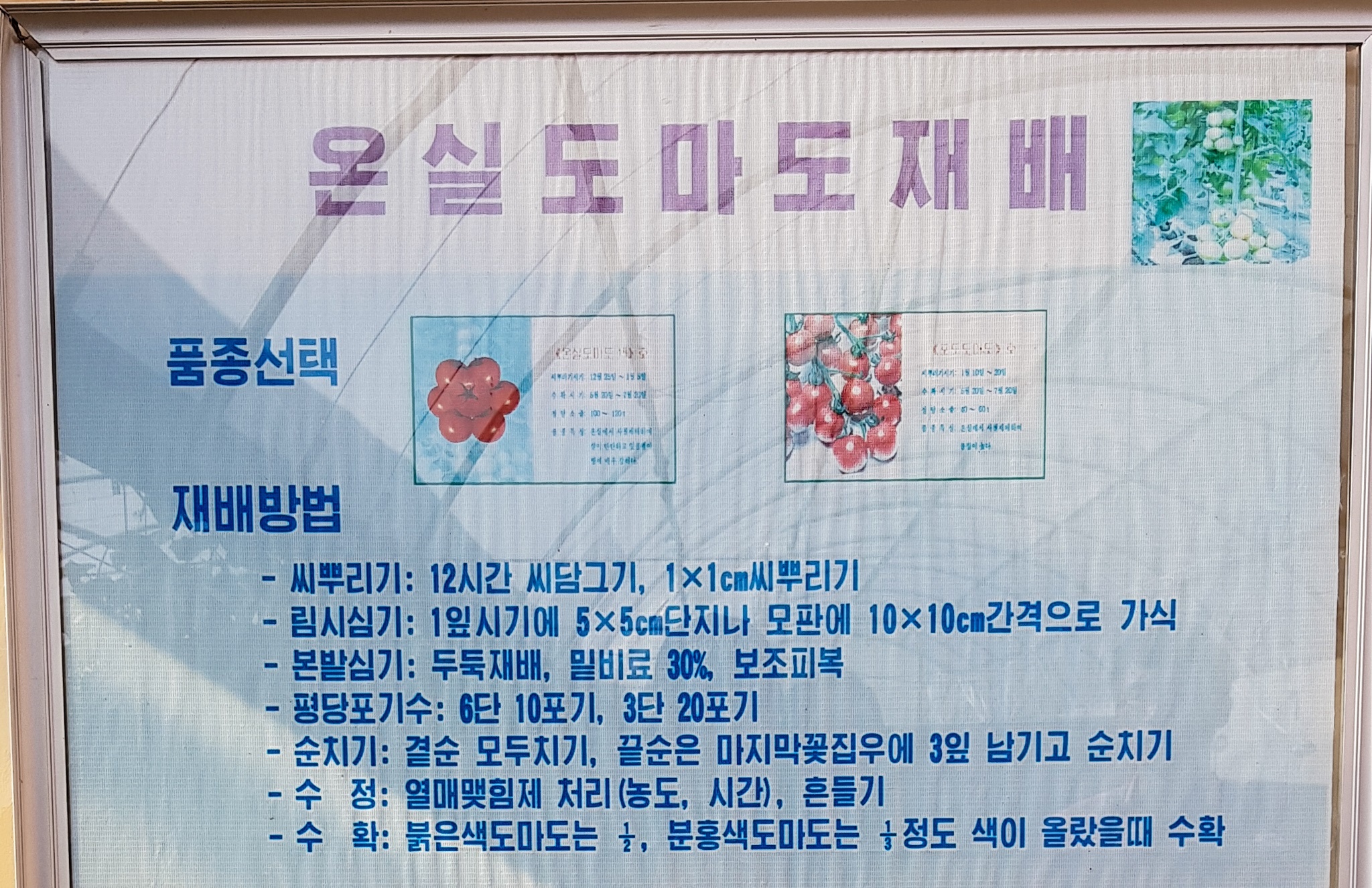 Nong trai cong nghe cao Trieu Tien anh 14