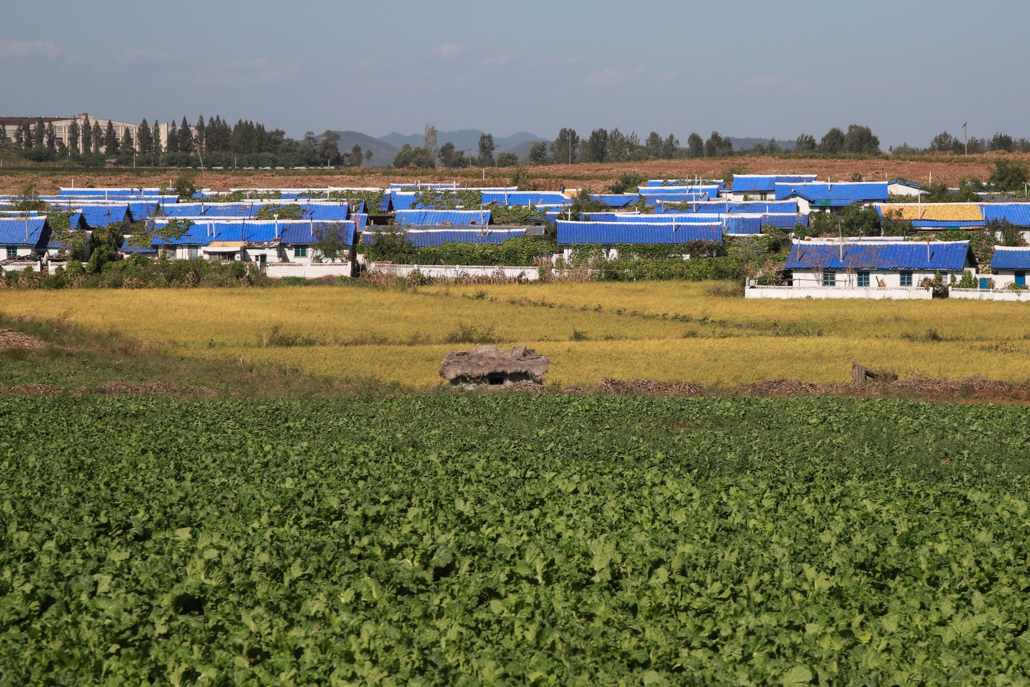 Nong trai cong nghe cao Trieu Tien anh 3