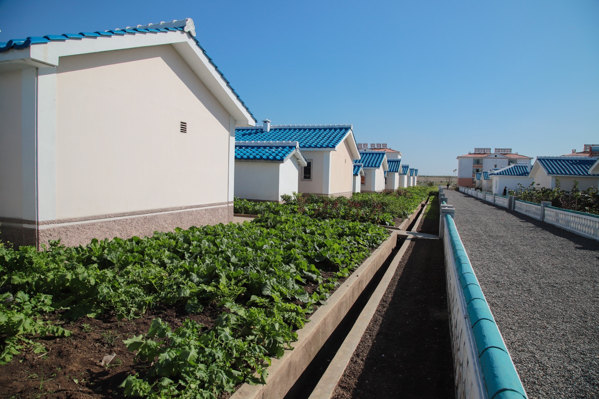 Nong trai cong nghe cao Trieu Tien anh 7