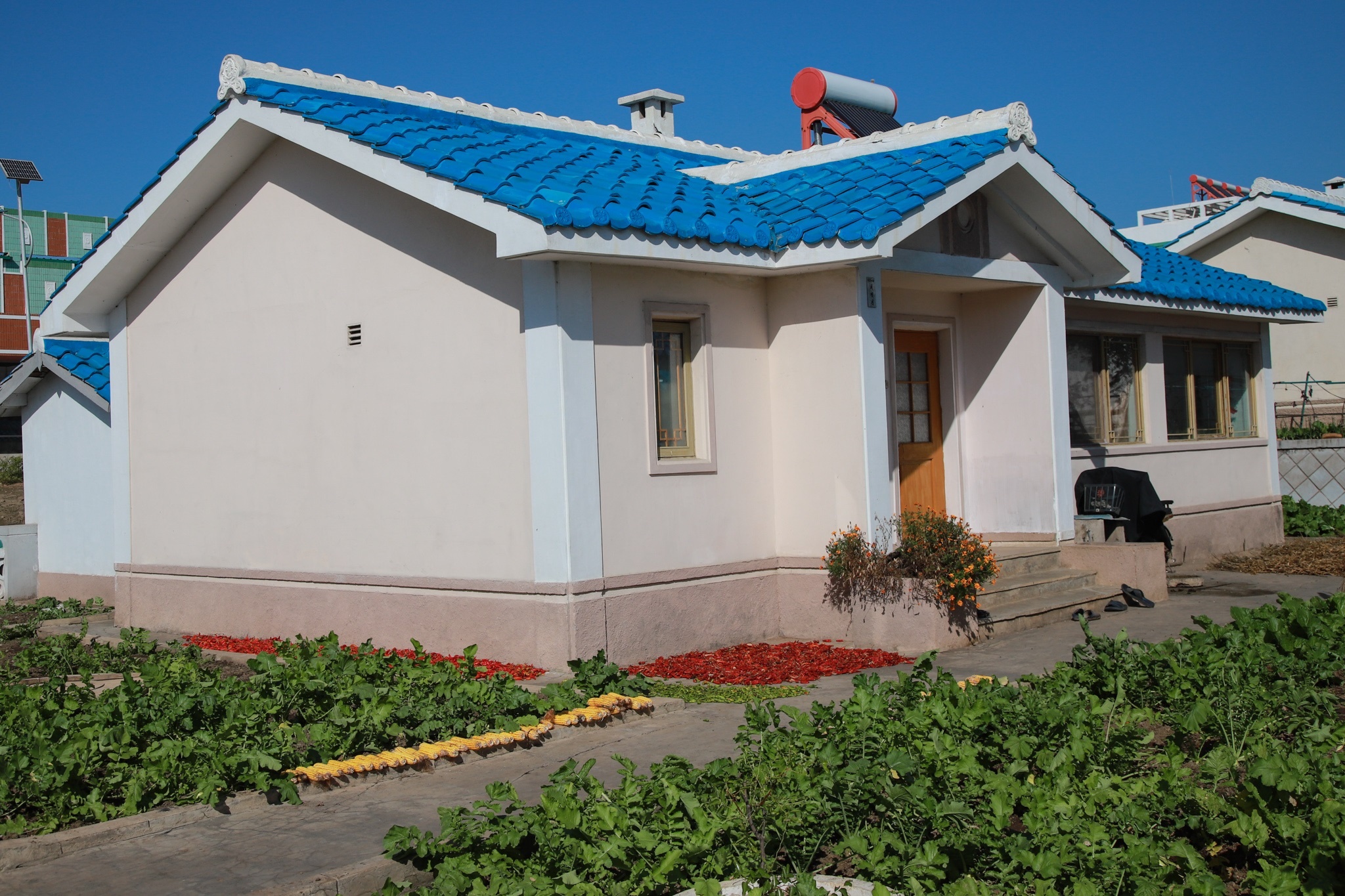 Nong trai cong nghe cao Trieu Tien anh 8