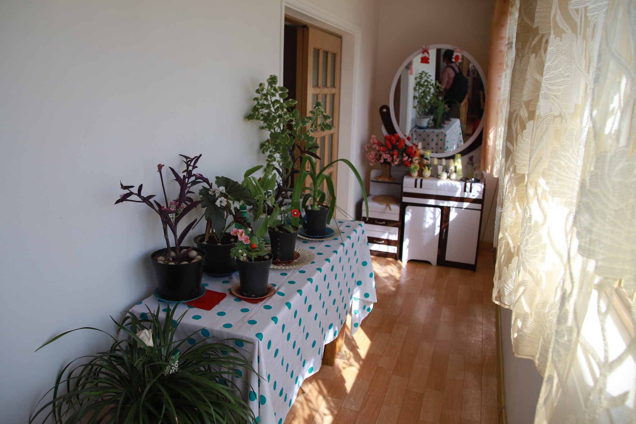 Nong trai cong nghe cao Trieu Tien anh 11