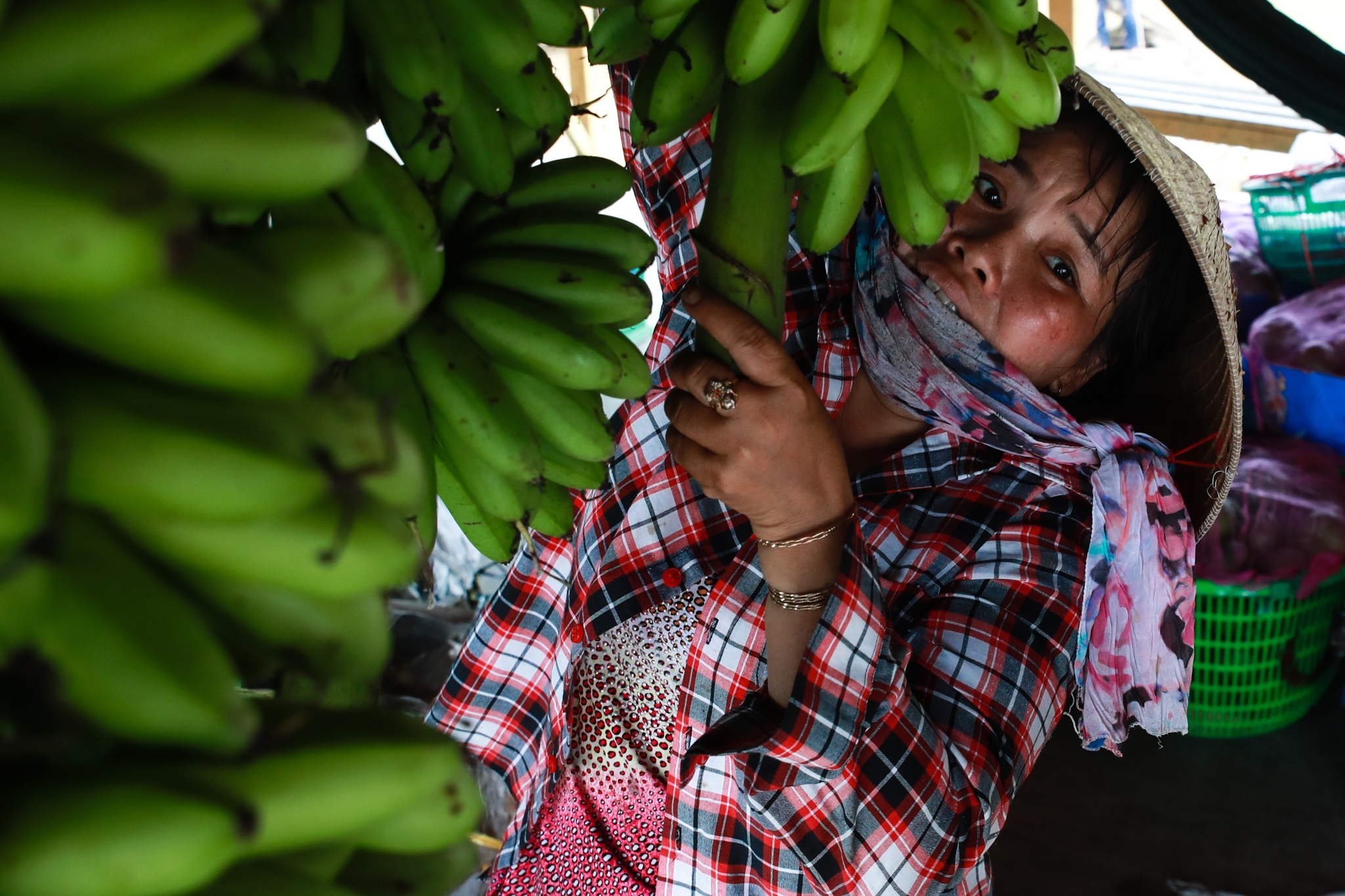 Doi thuong ho tren dat phuong Nam anh 28