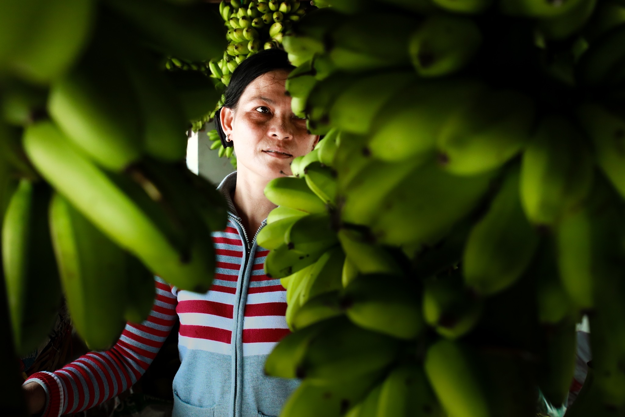 Doi thuong ho tren dat phuong Nam anh 29