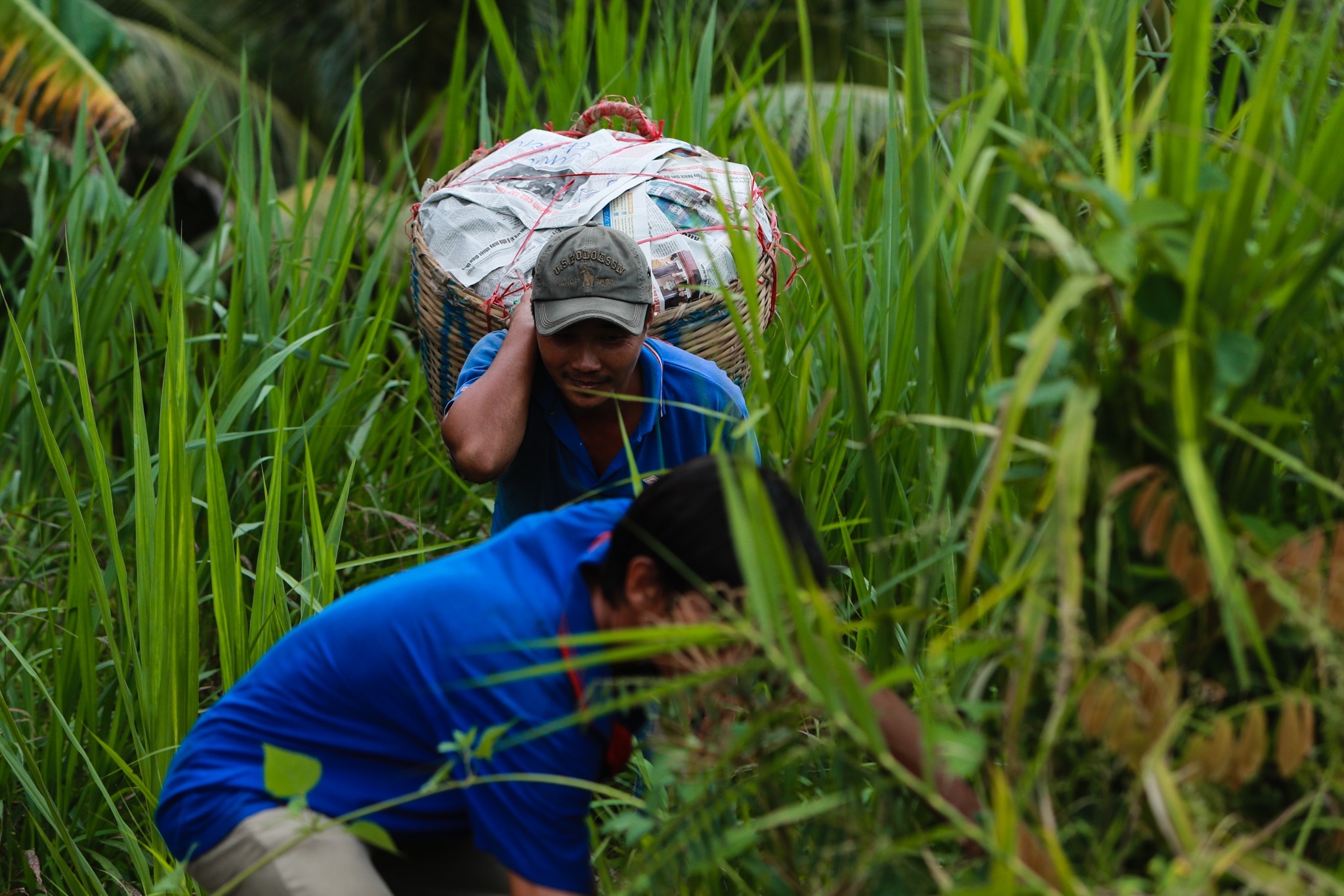 Doi thuong ho tren dat phuong Nam anh 12