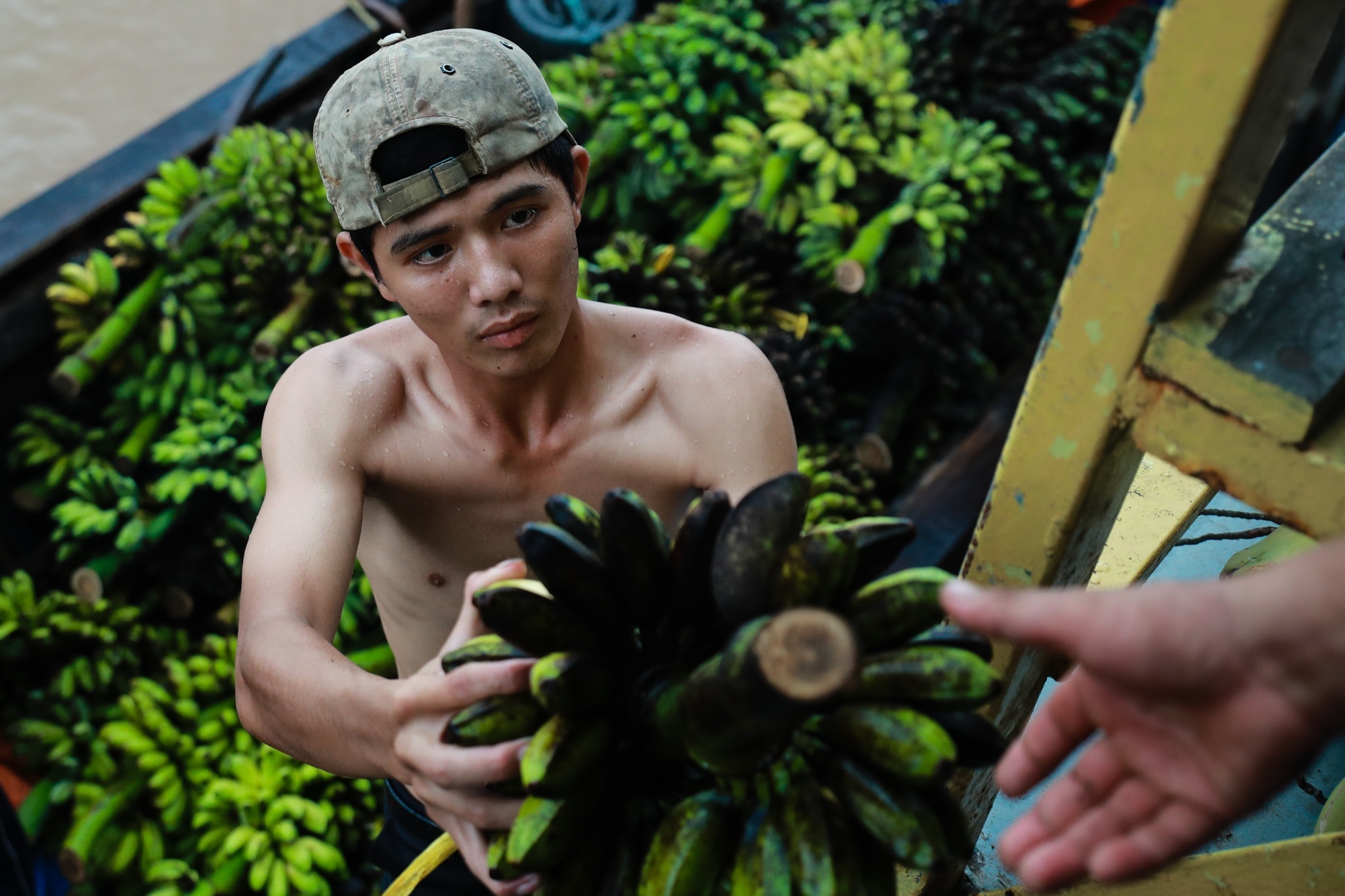 Doi thuong ho tren dat phuong Nam anh 5