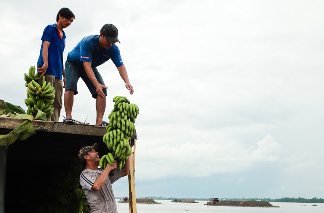 Doi thuong ho tren dat phuong Nam anh 15