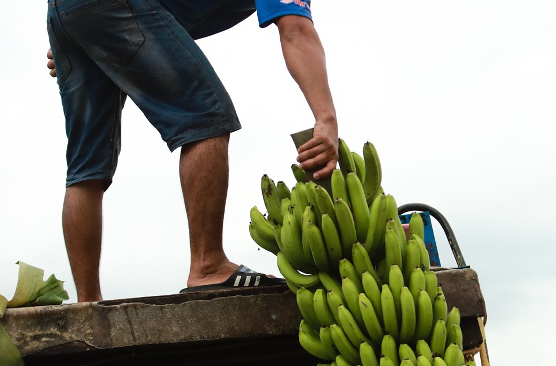 Doi thuong ho tren dat phuong Nam anh 16